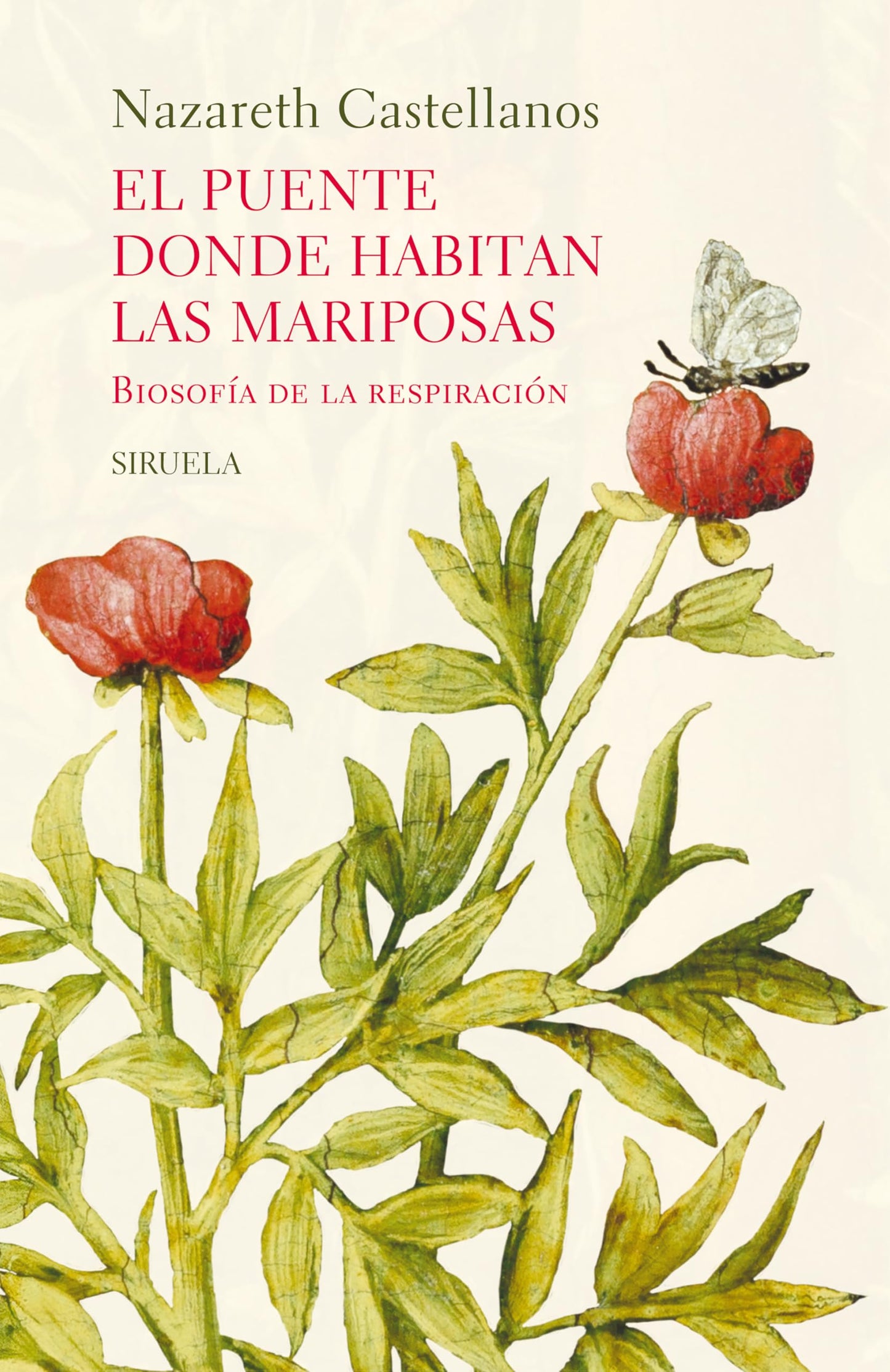 El puente donde habitan las mariposas: Biosofía de la respiración: 160 (El Ojo del Tiempo)