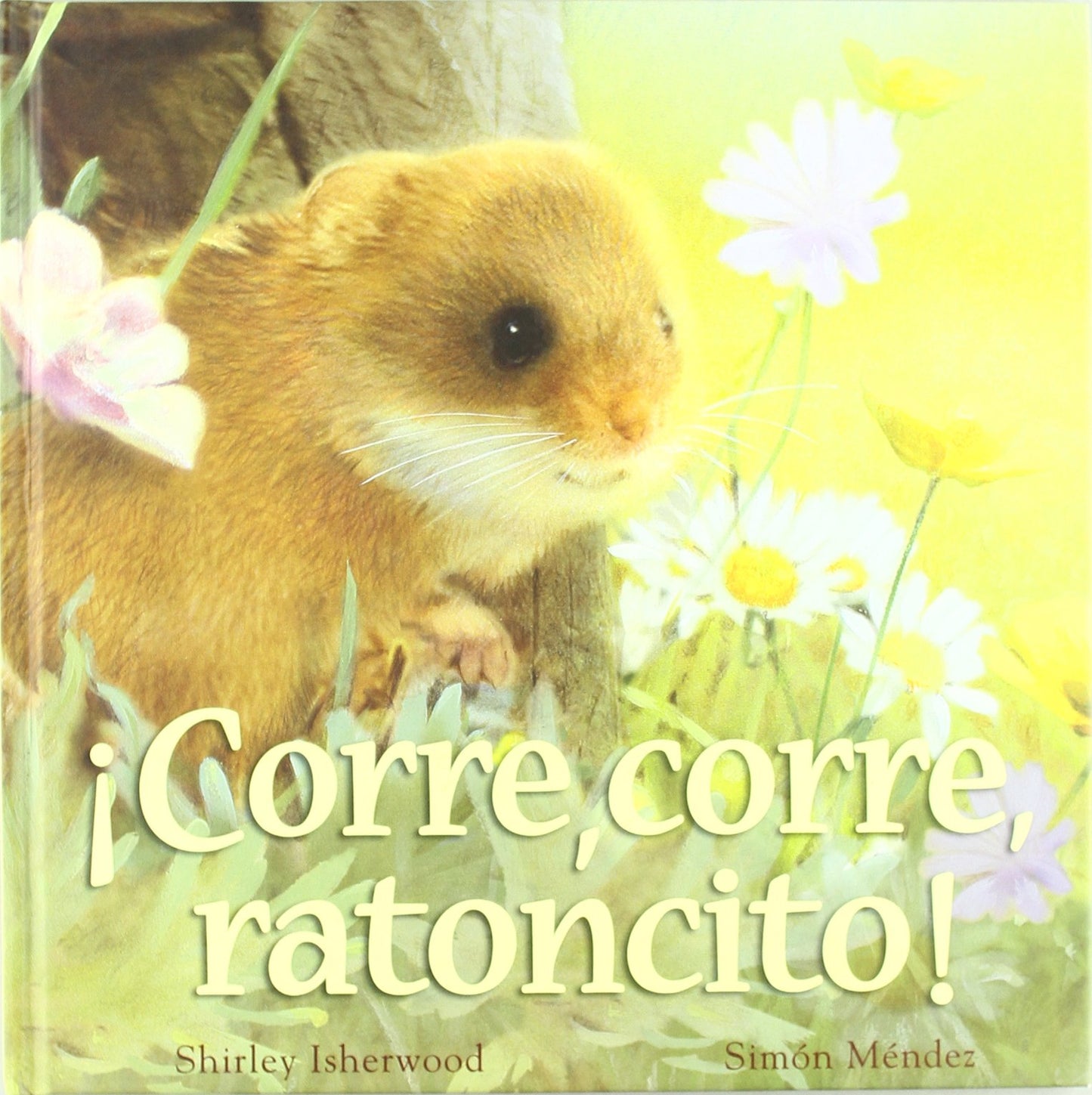 Libro: ¡Corre corre ratoncito! (Spanish Edition)