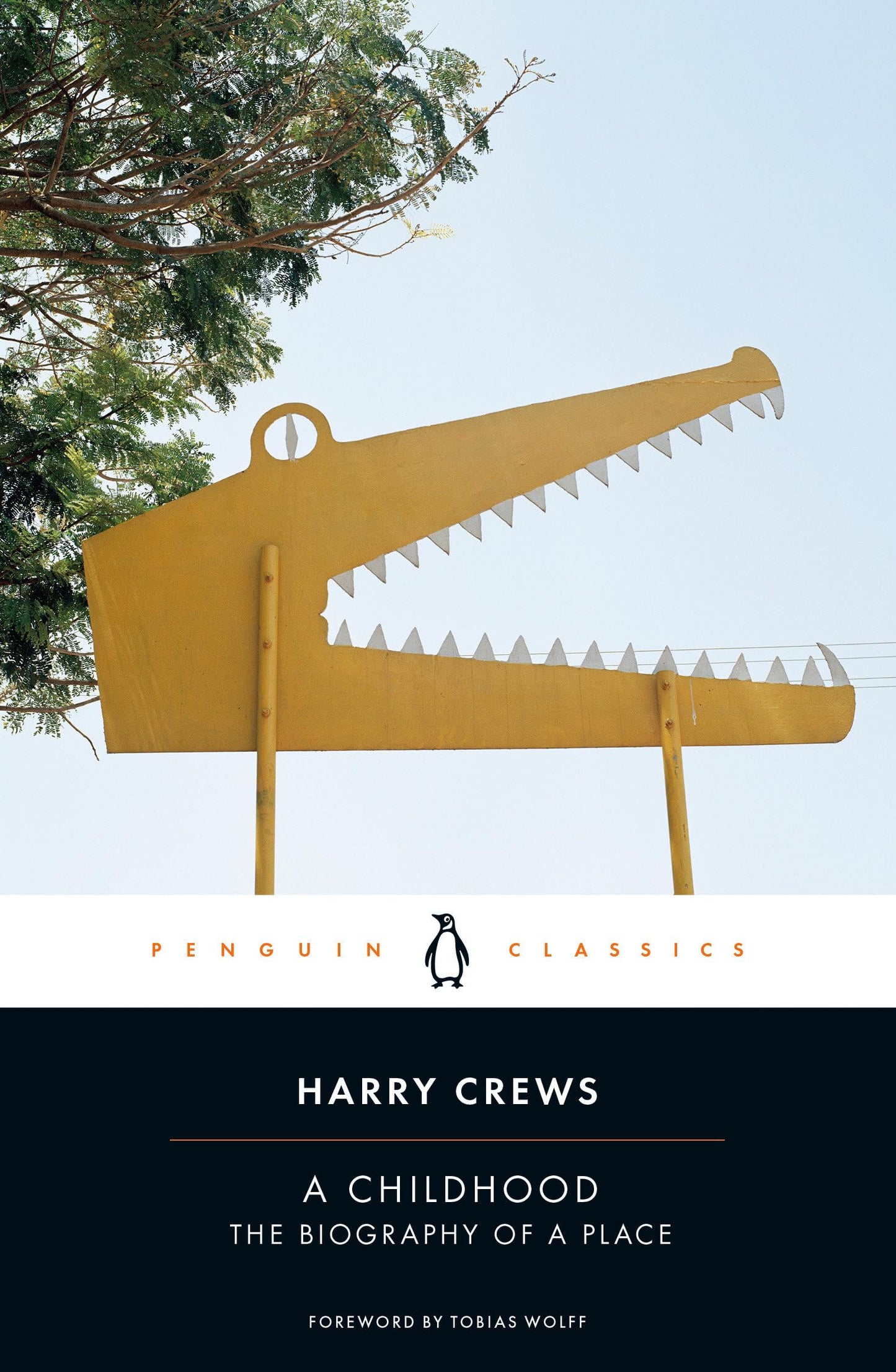 Libro: A Childhood: The Biography of a Place (Penguin Classics)