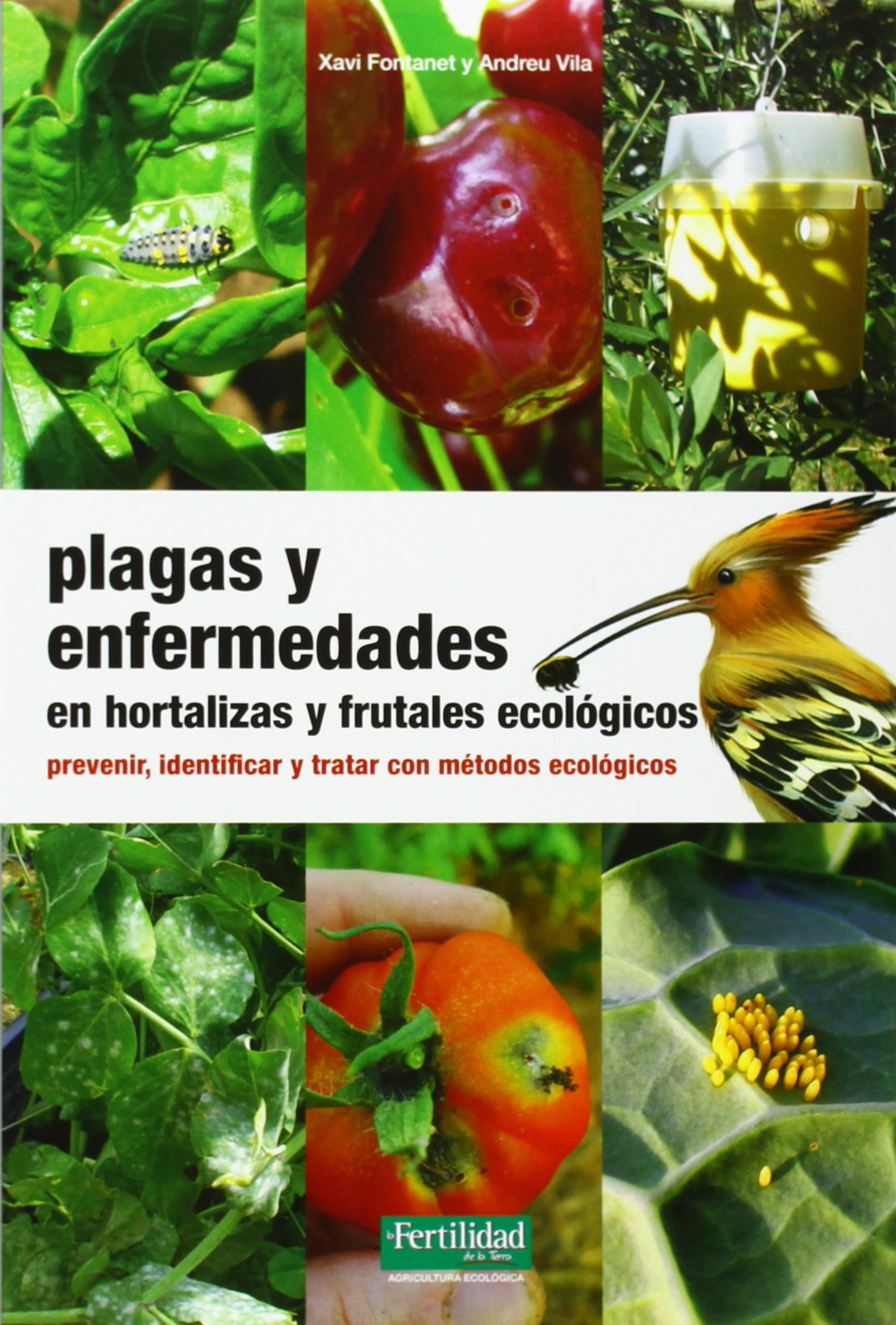 Libro: Plagas y enfermedades en hortalizas y frutales ecológicos: prevenir, identificar y tratar con métodos ecológicos: 18 (Guías para la Fertilidad de la Tierra)