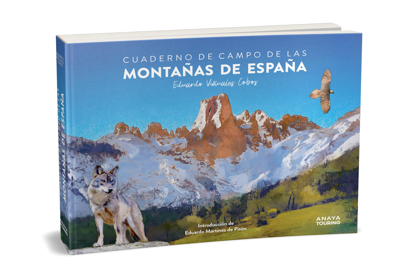 Libro: Cuaderno de campo de las montañas de España (Guías Singulares)