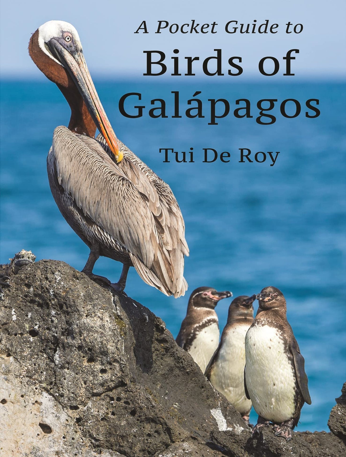Libro: A Pocket Guide to Birds of Galápagos