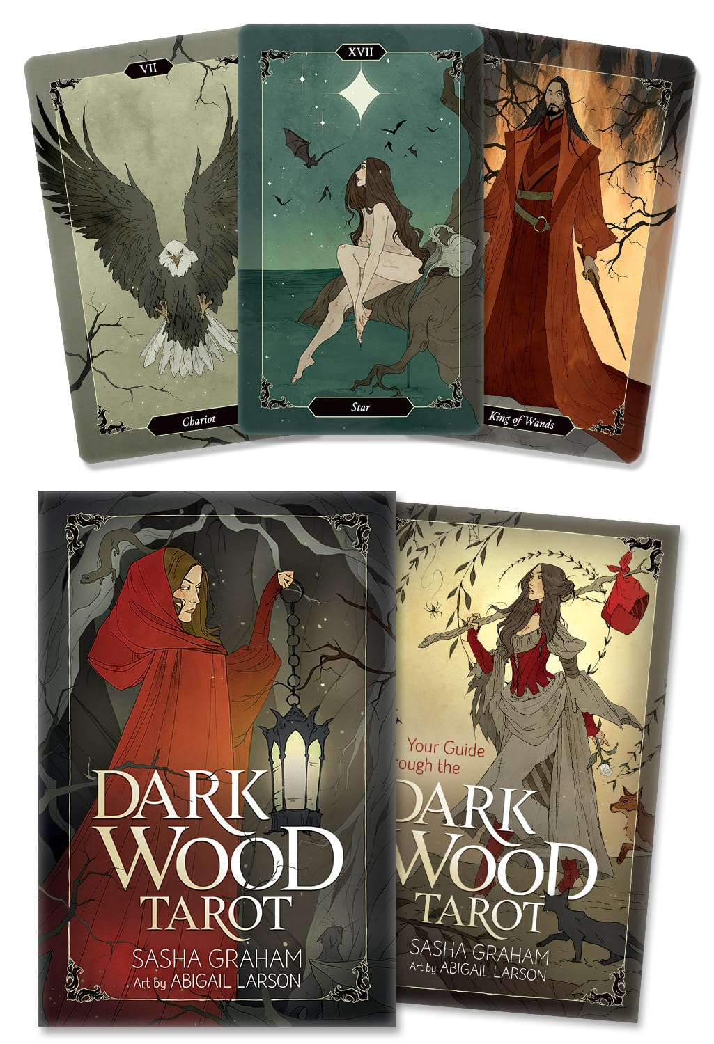Libro: Dark Wood Tarot