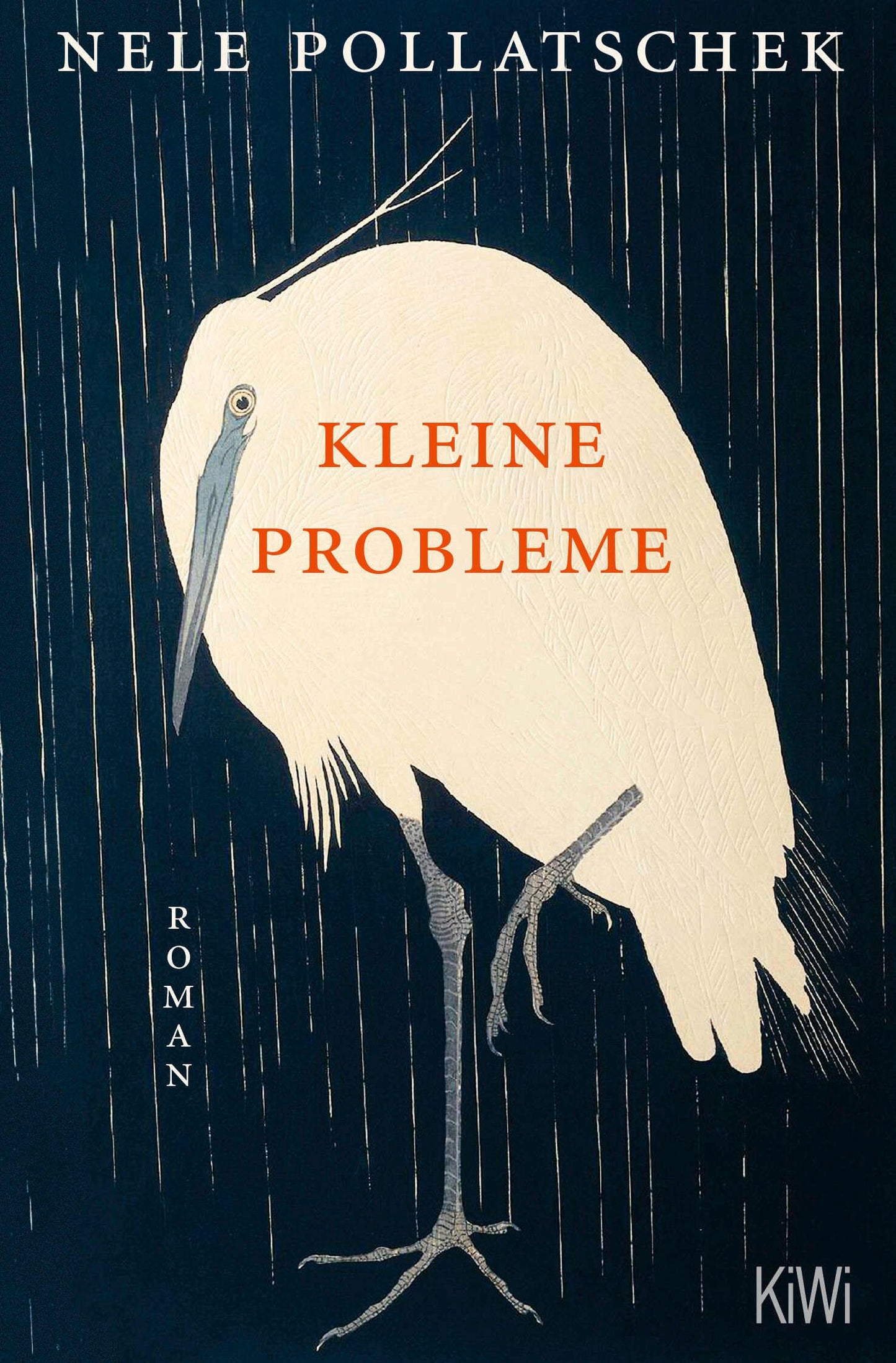Libro: Pollatschek, Nele/Kleine Probleme