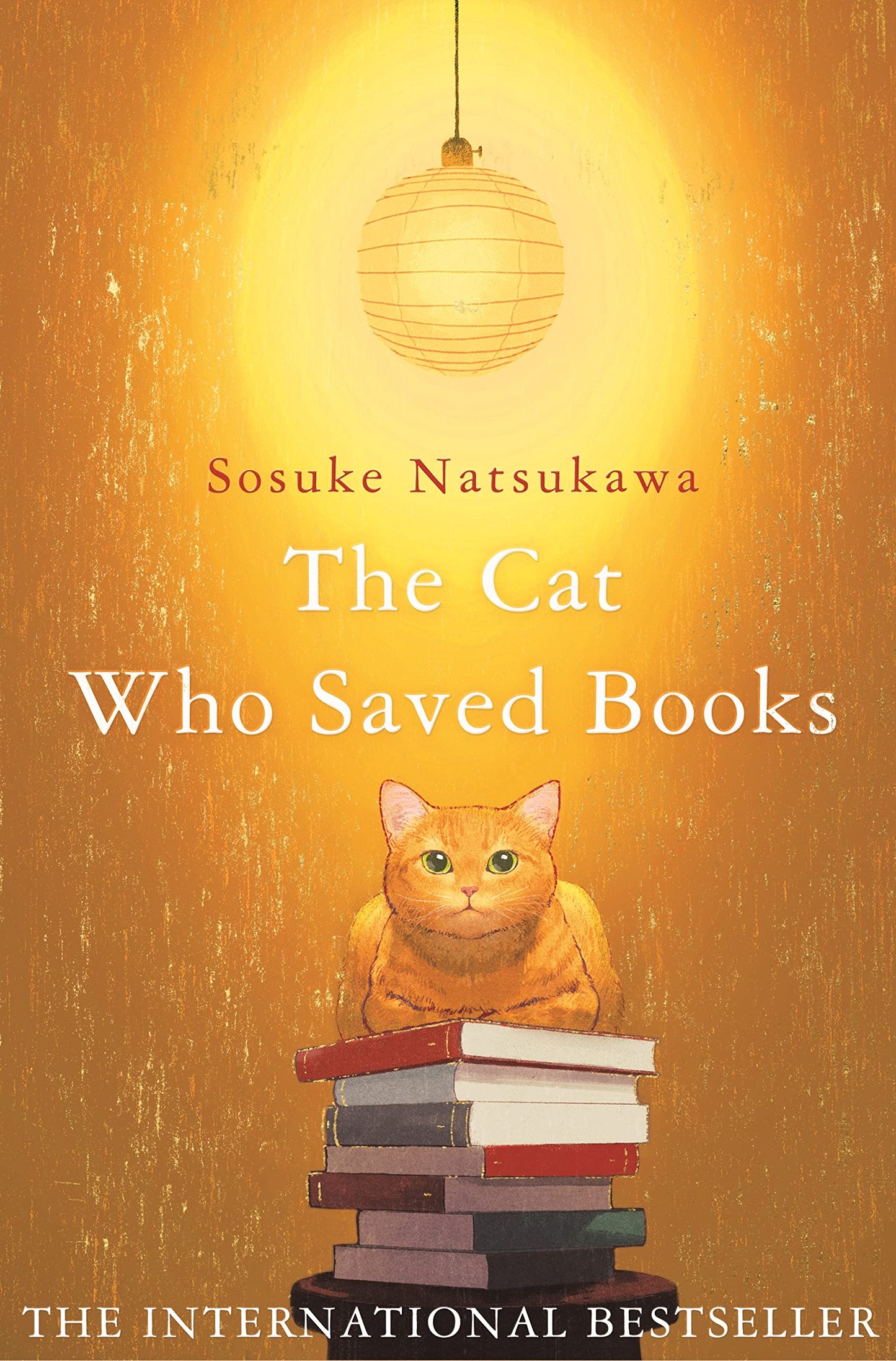Libro: The cat that saves books