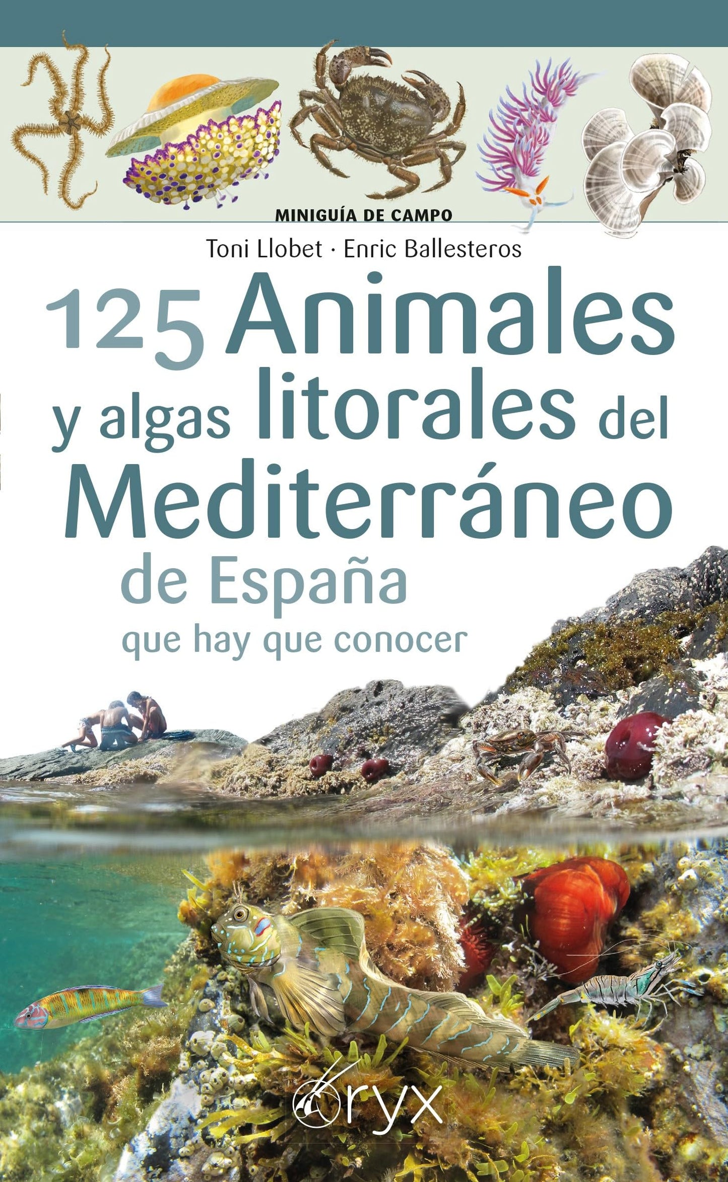 125 Animales Y Algas Litorales Del Mediterraneo De España Que Hay Que Conocer (Miniguía de campo)