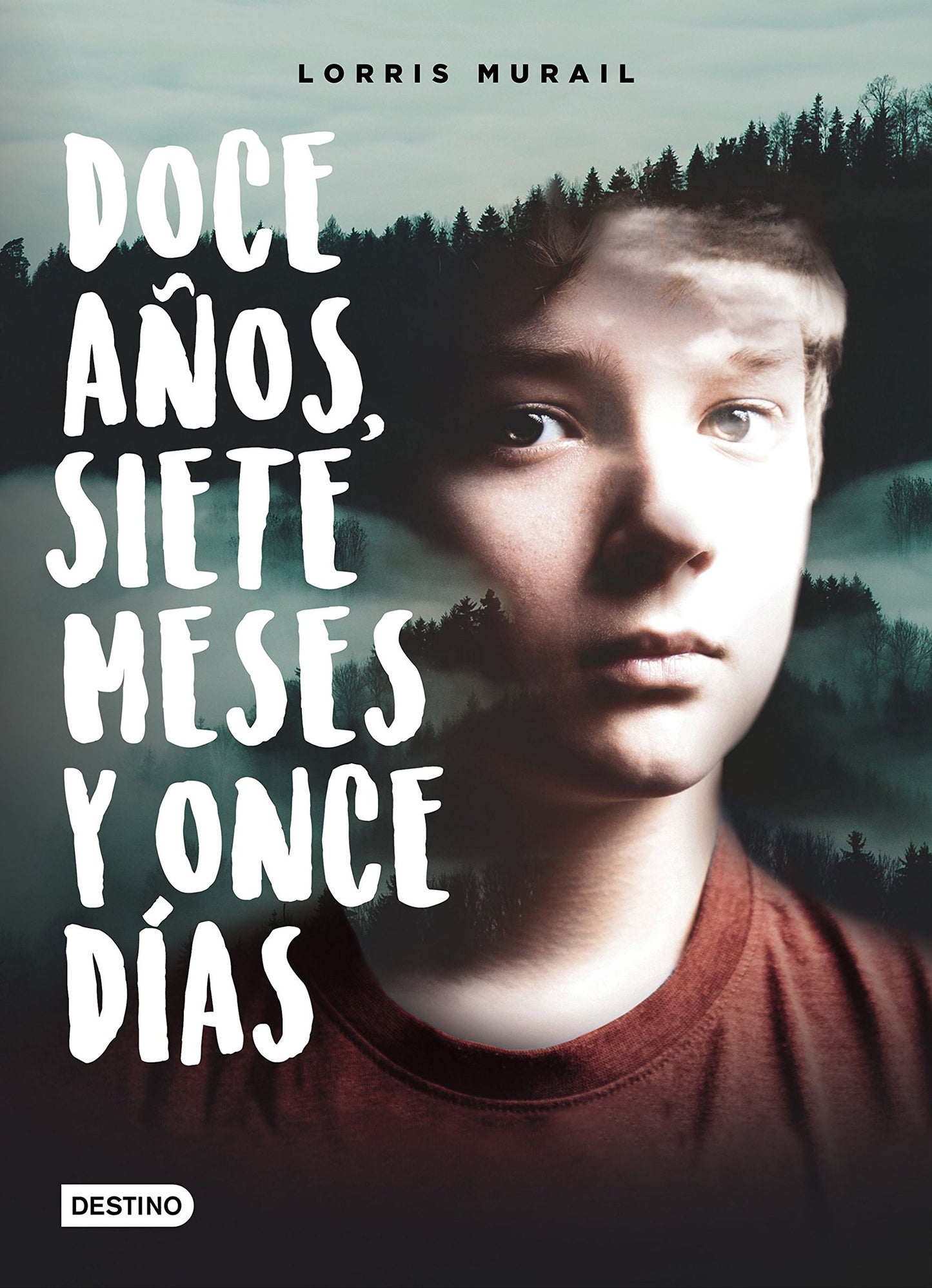 Libro: Doce años, siete meses y once días (La isla del tiempo)