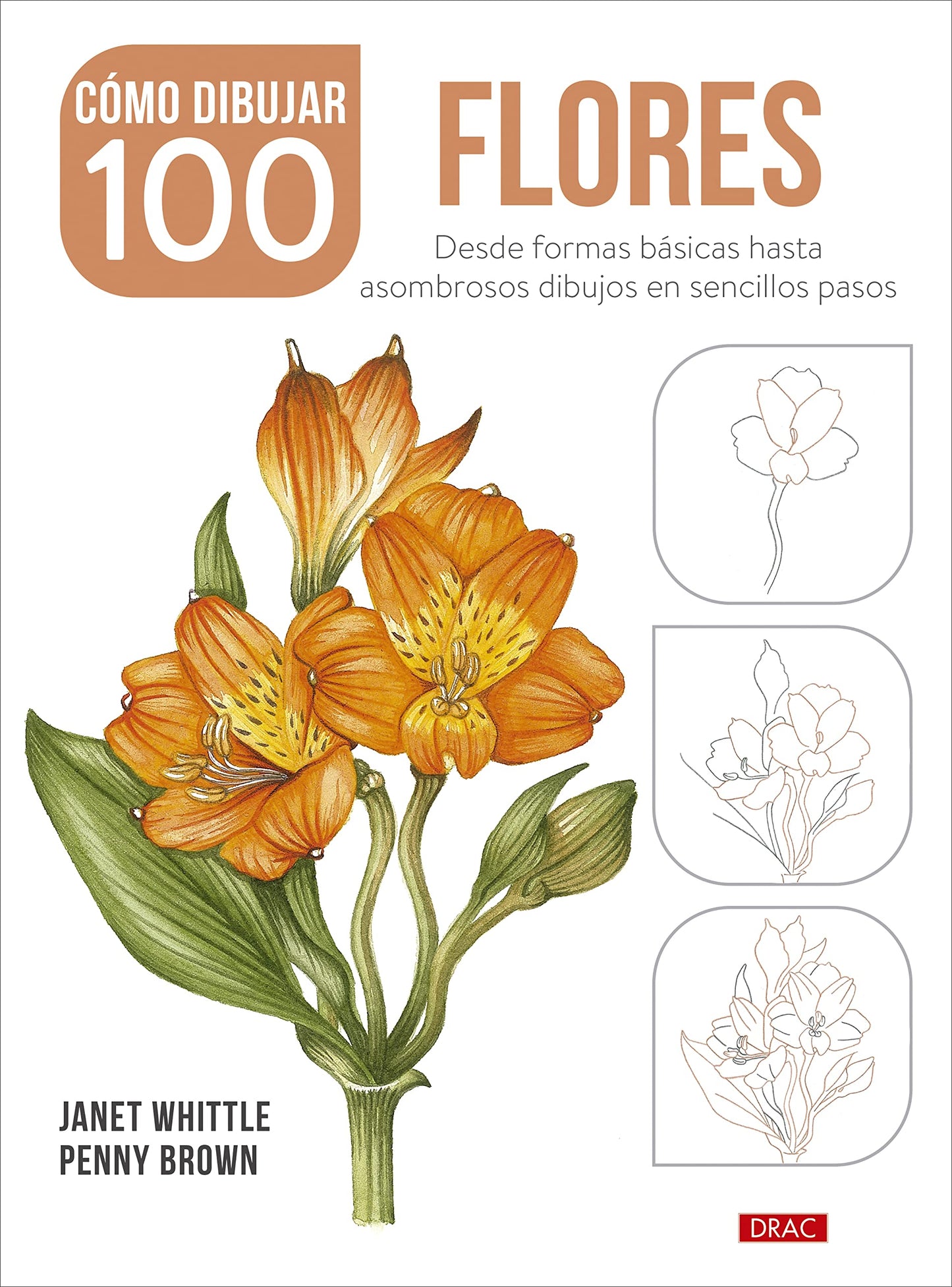 Libro: Cómo dibujar 100 flores: Desde formas básicas hasta asombrosos dibujos en sencillos pasos