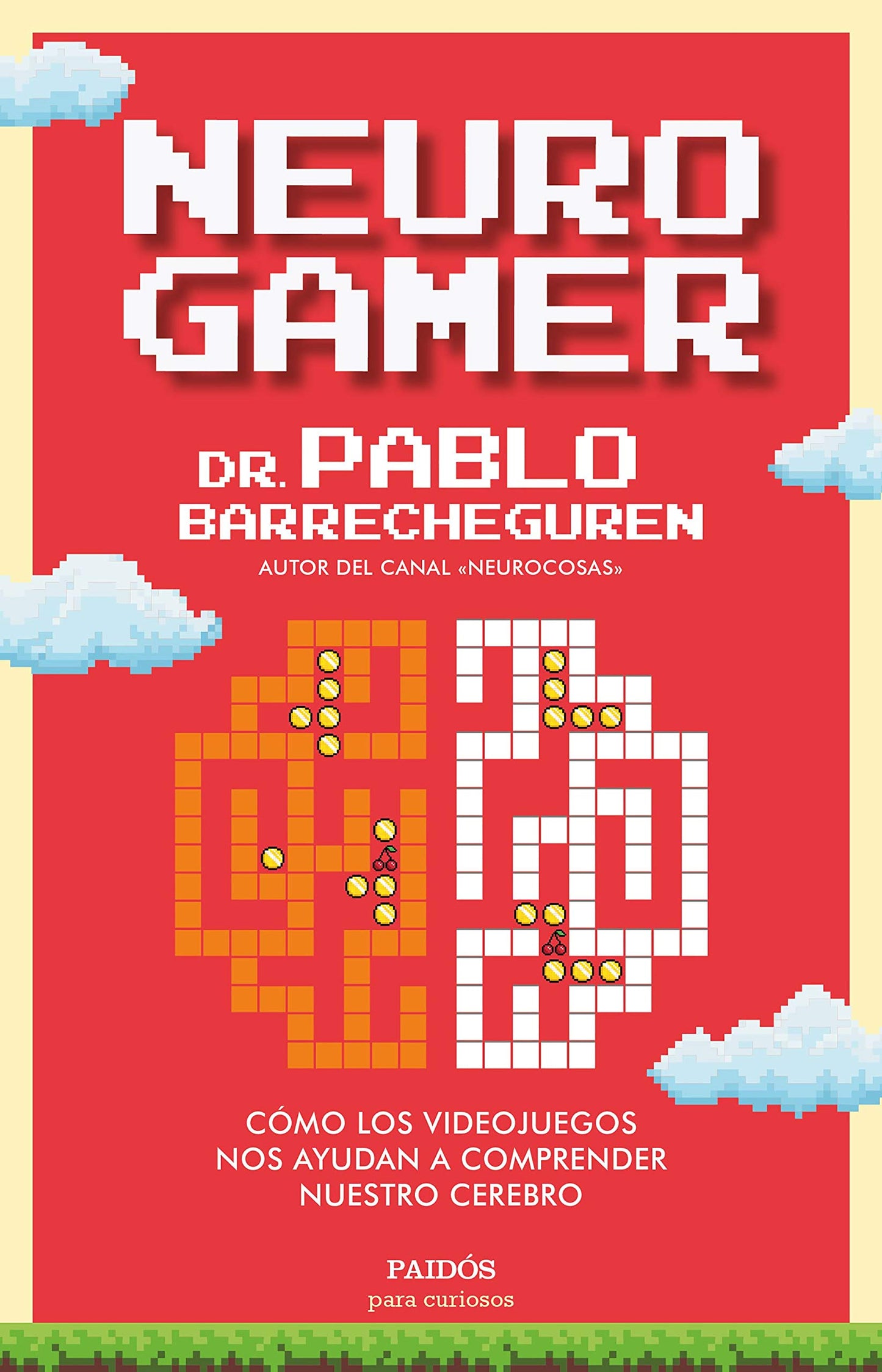 Libro: Neurogamer: Cómo los videojuegos nos ayudan a comprender nuestro cerebro (Para curiosos)