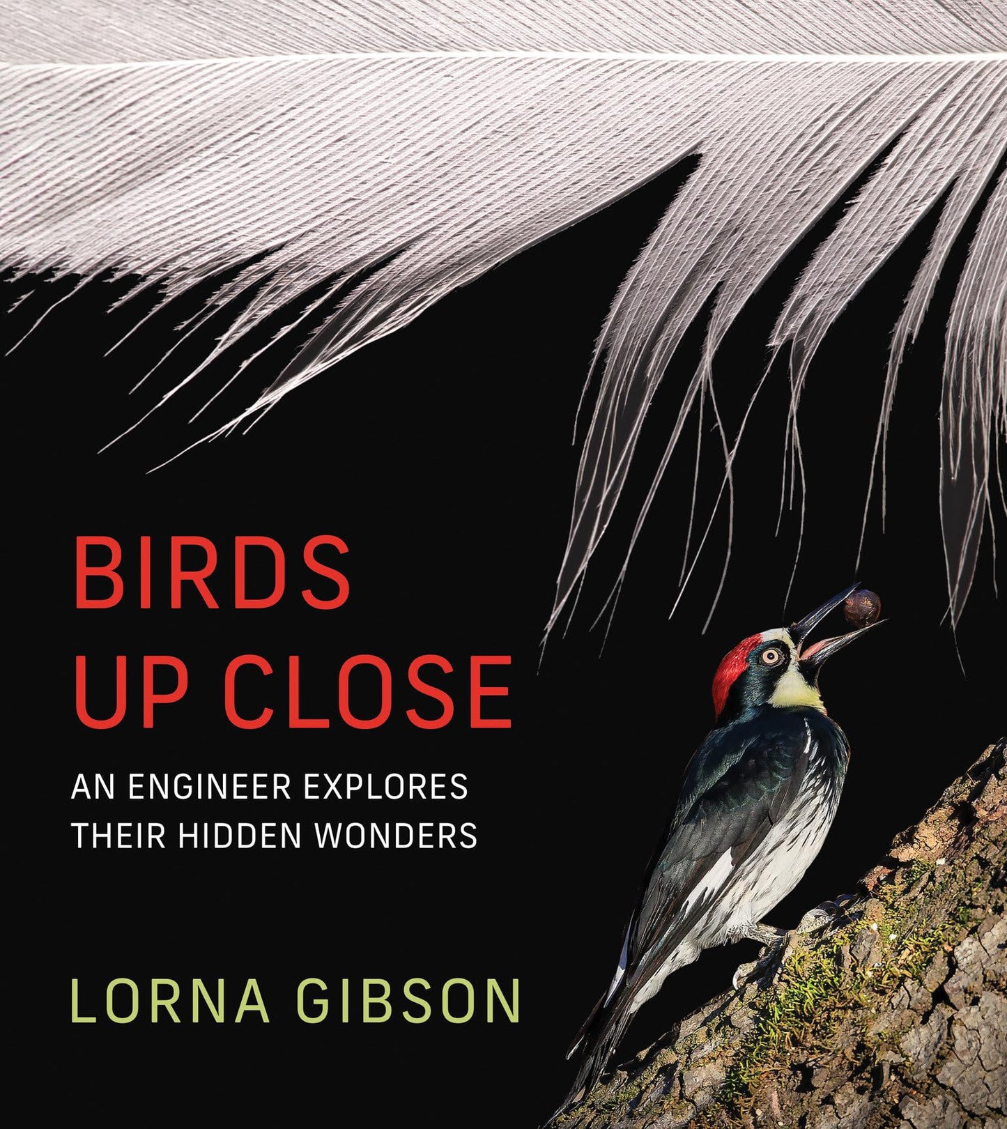 Libro: Birds Up Close: An Engineer Explores Their Hidden Wonders