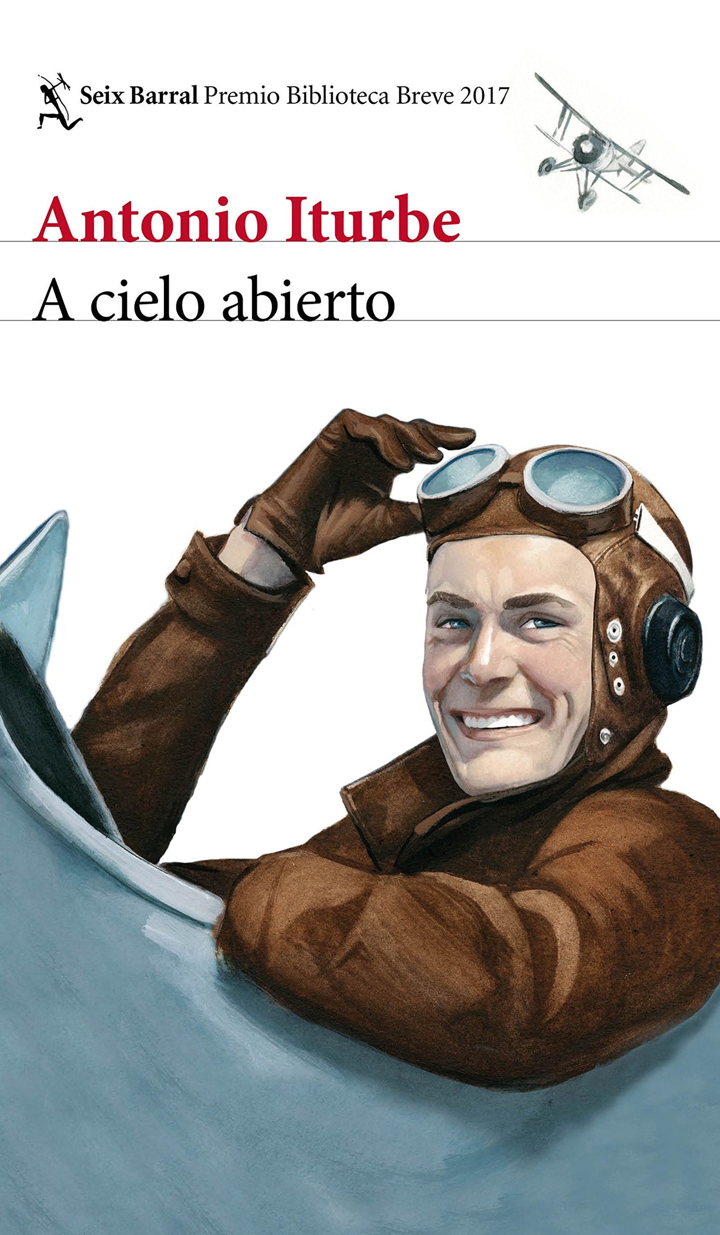Libro: A cielo abierto: Premio Biblioteca Breve 2017