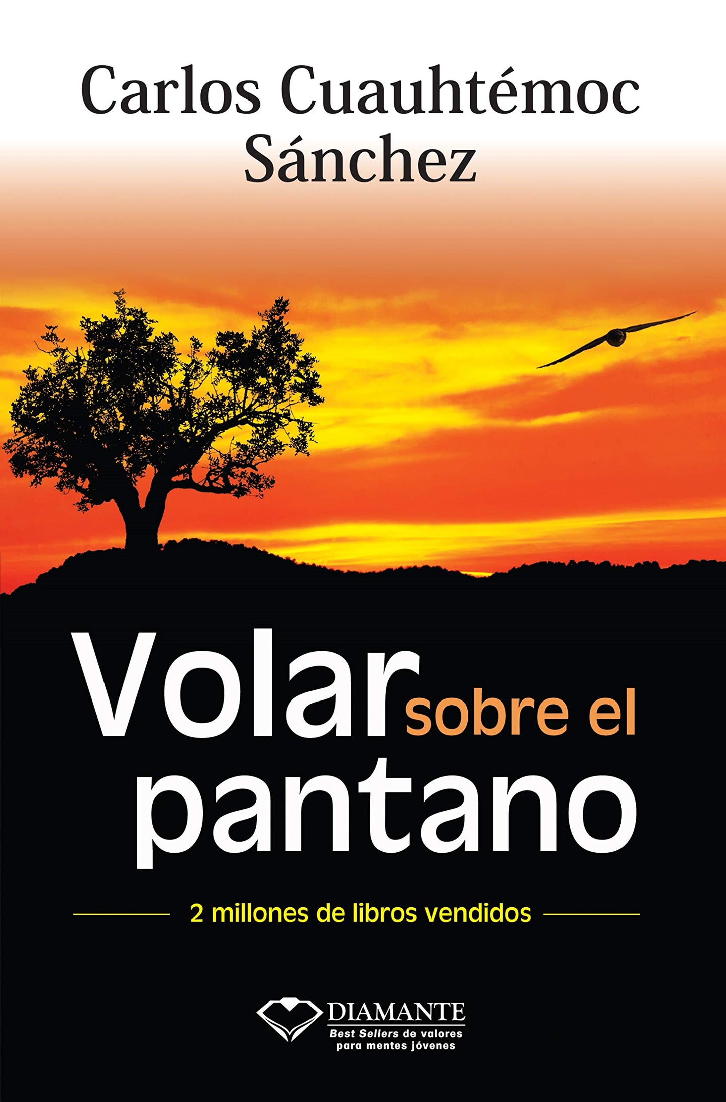 Libro: VOLAR SOBRE EL PANTANO