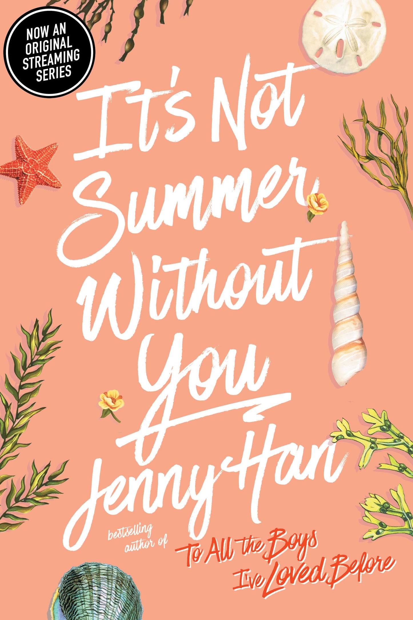 Libro: It's Not Summer Without You: 2 (Summer I Turned Pretty, The)