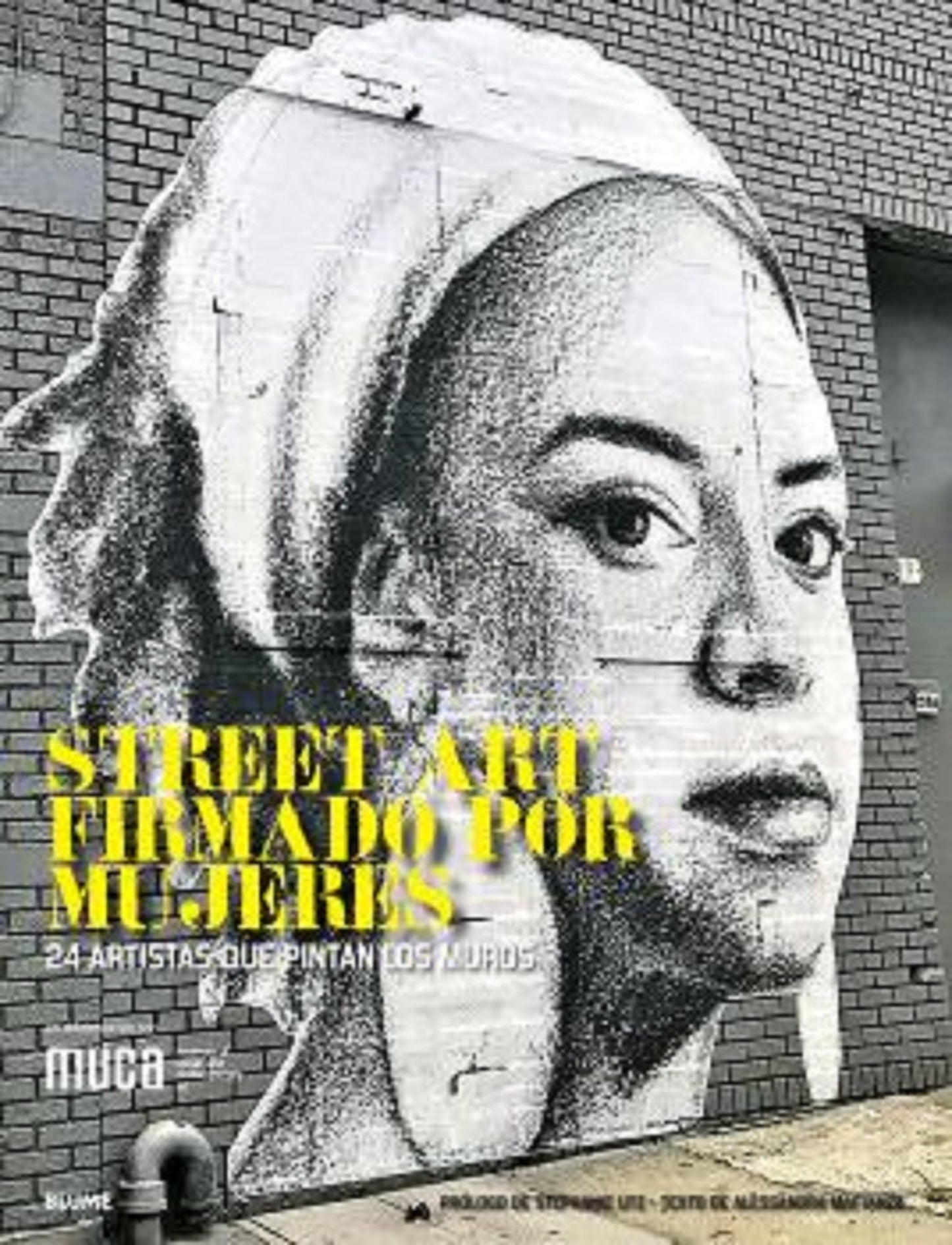 Libro: Street art firmado por mujeres: 24 artistas que pintan los muros