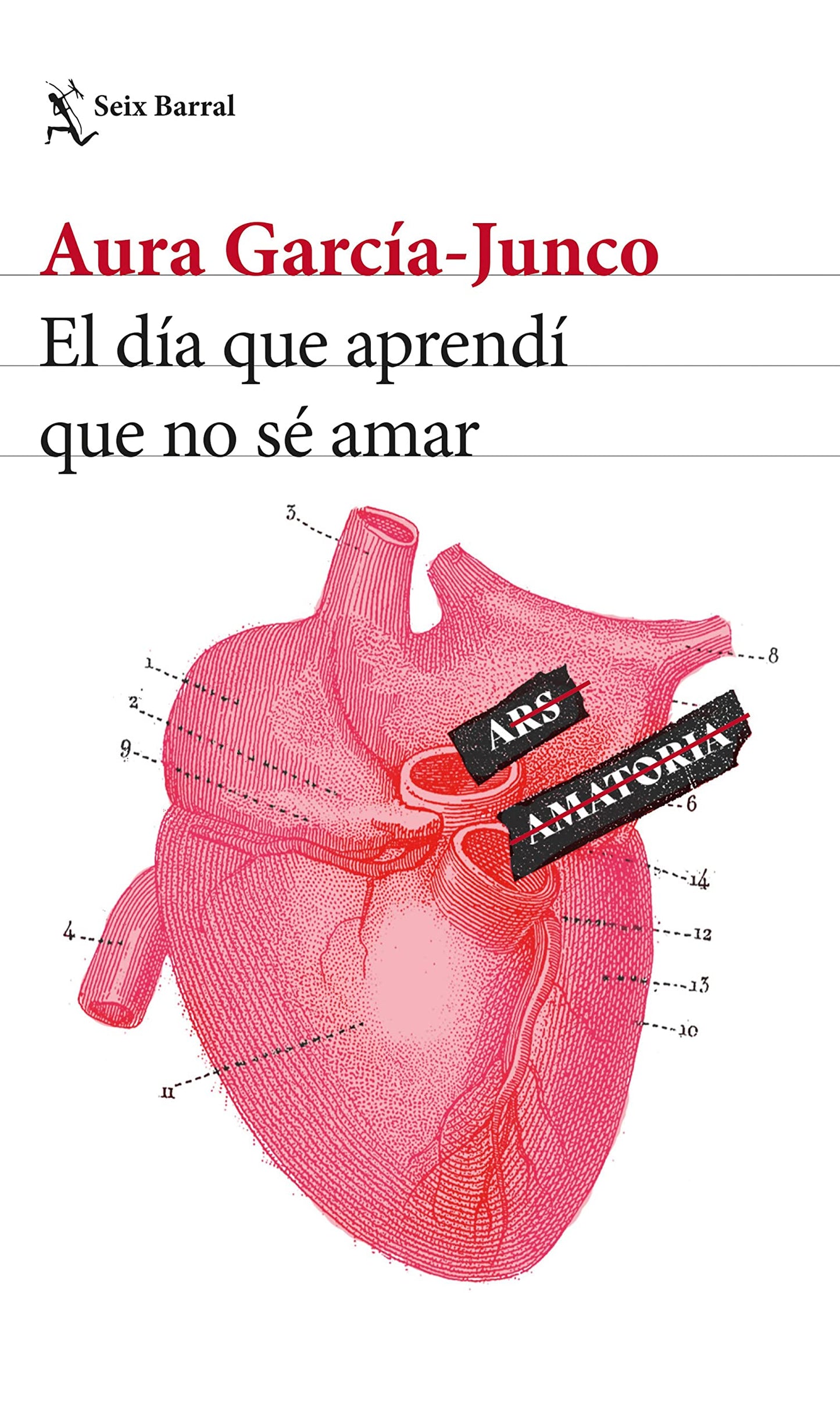 Libro: El día que aprendí que no sé amar (Los Tres Mundos)