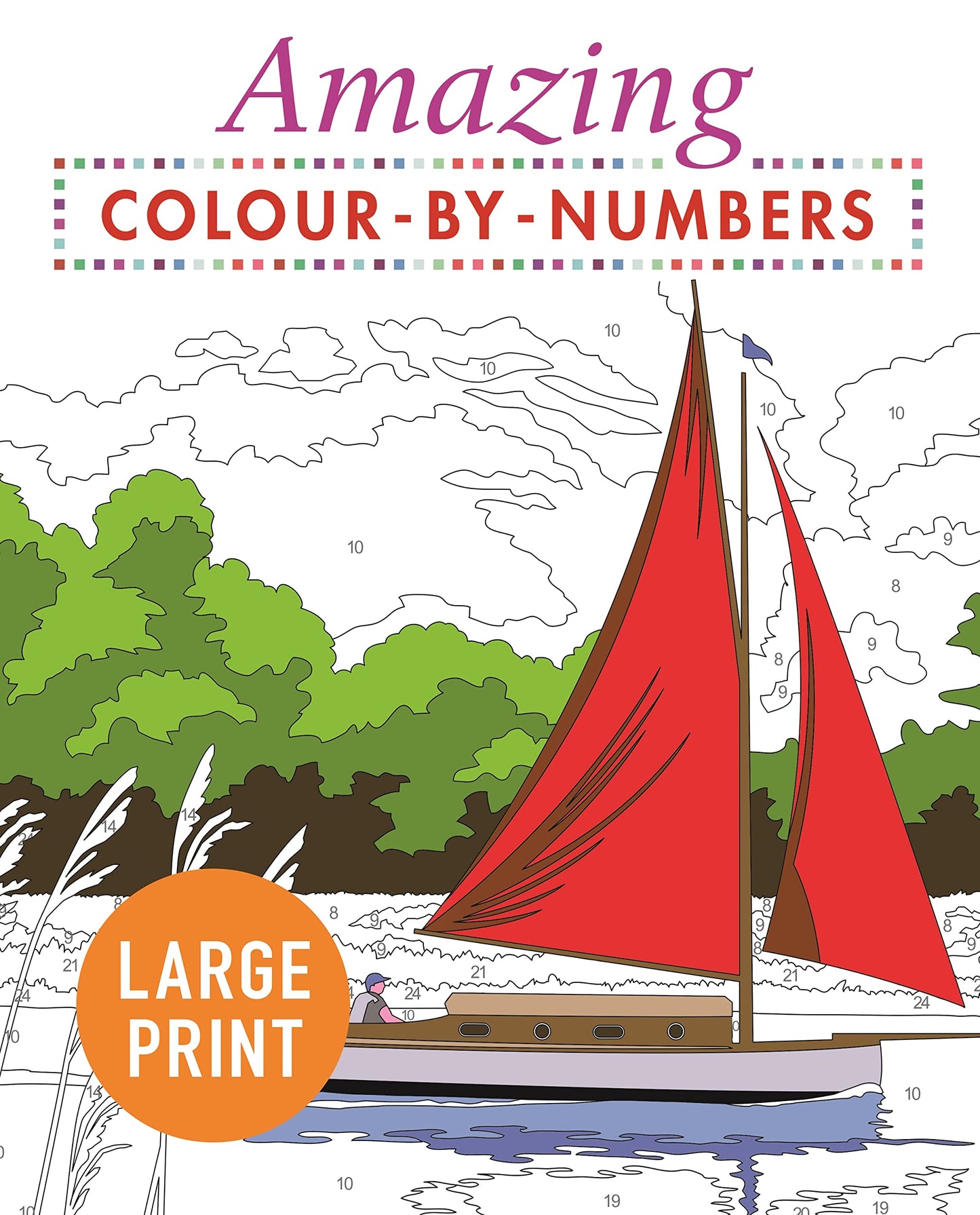 Libro: Amazing Colour-by-Numbers Large Print