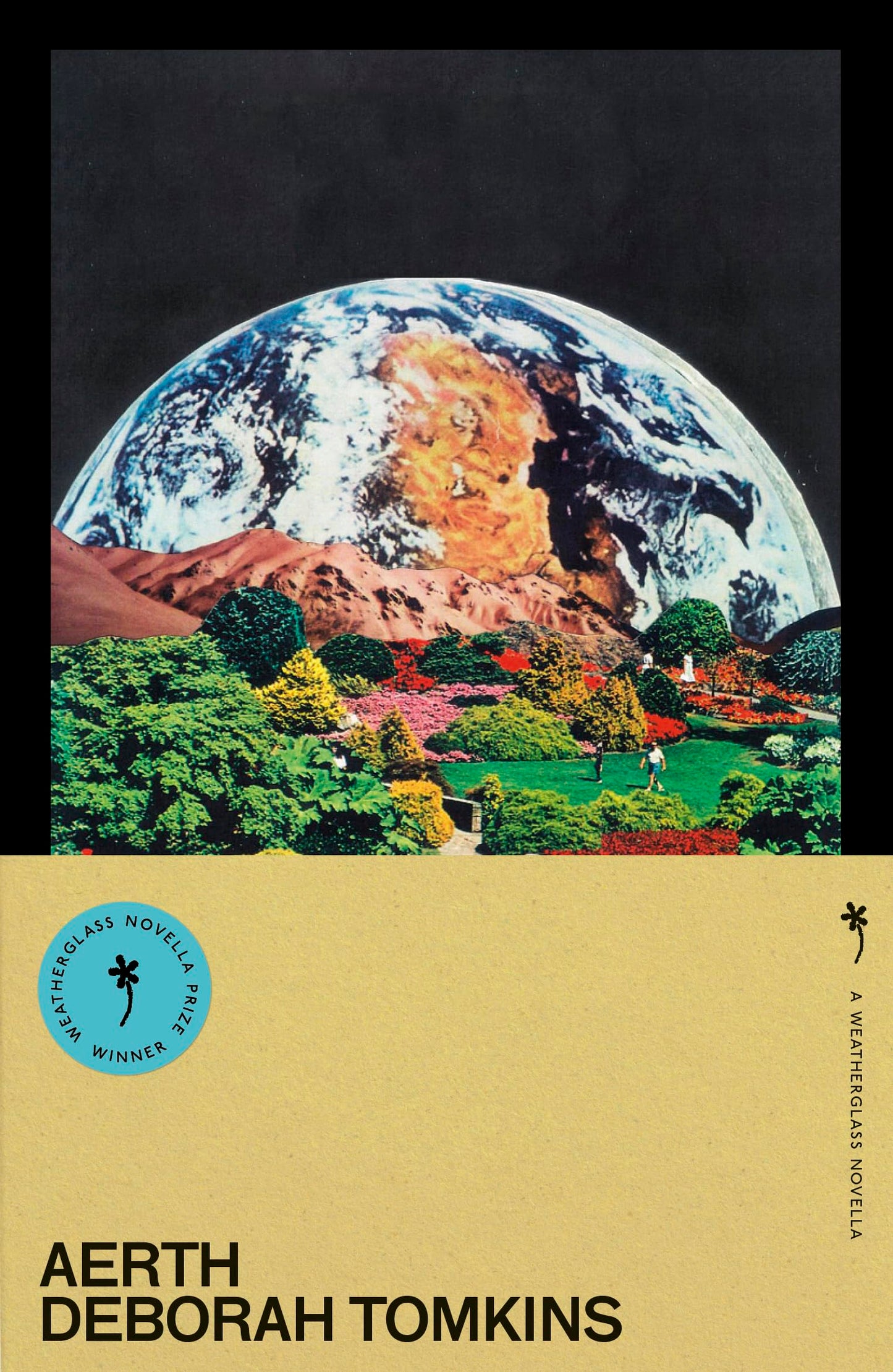 Libro: Weatherglass Books Aerth.