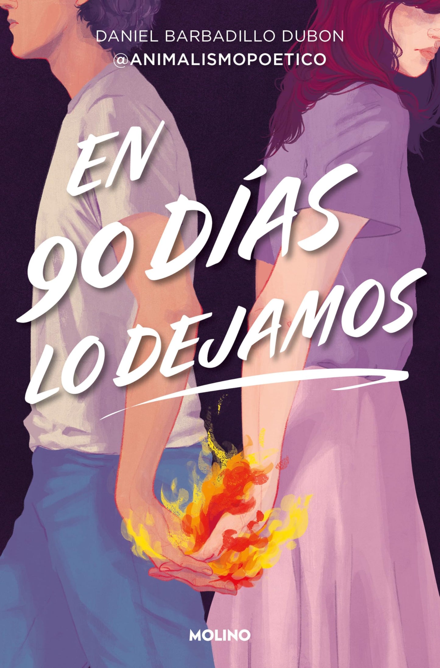 En 90 días lo dejamos (Ficción)