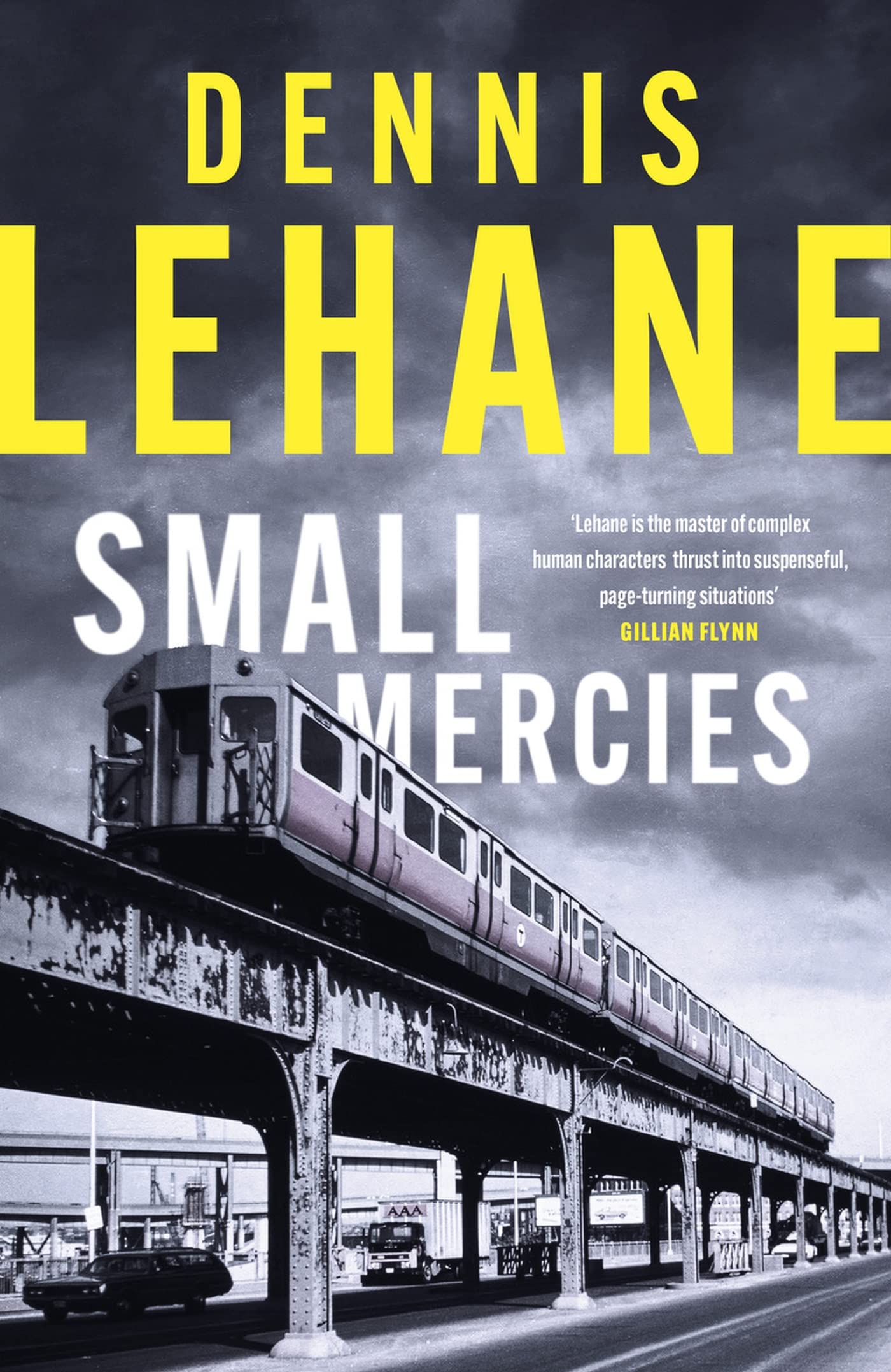Libro: Small Mercies