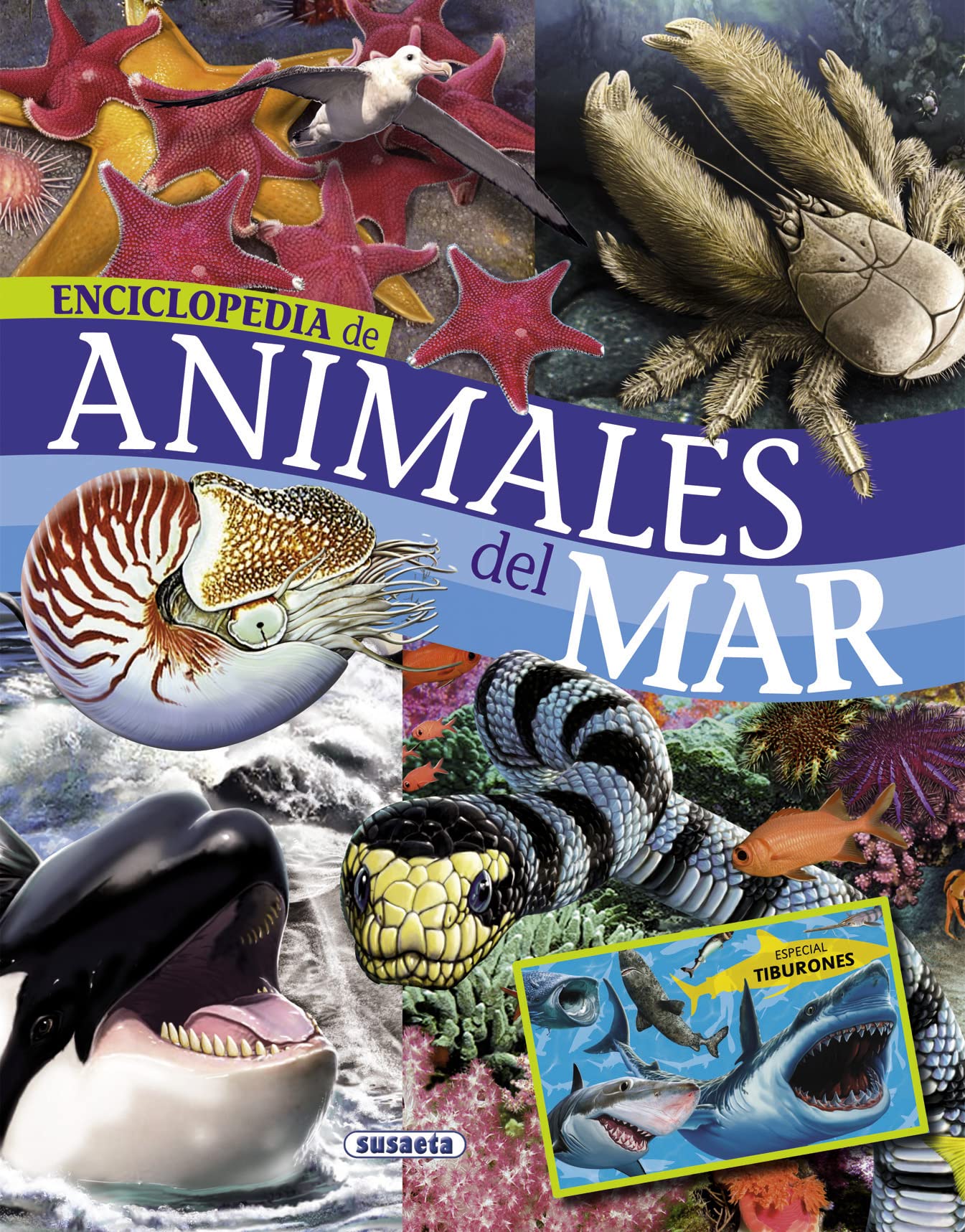 Libro: Animales del mar (Biblioteca esencial)