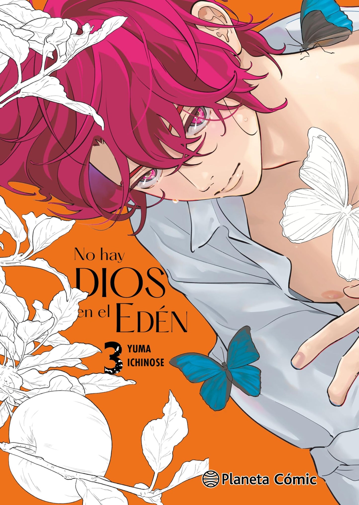Libro: No hay Dios en el Edén nº 03: 3 (Manga Boys Love)