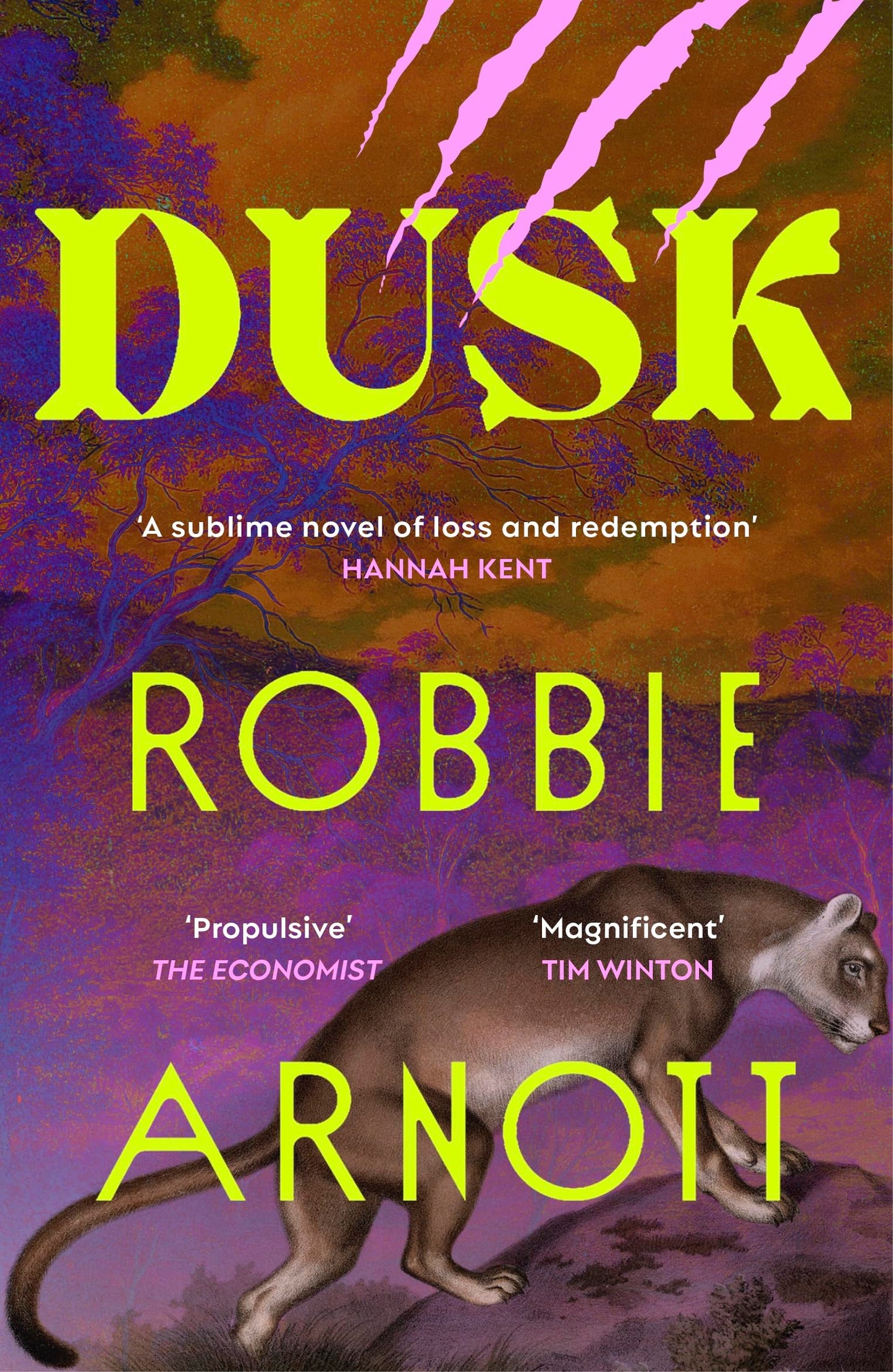 Libro: Dusk