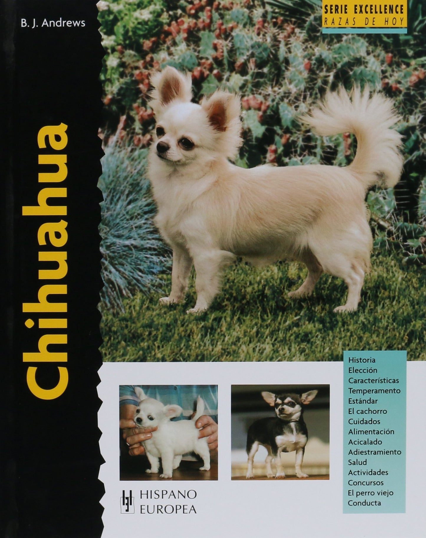 Libro: Chihuahua (Spanish Edition)