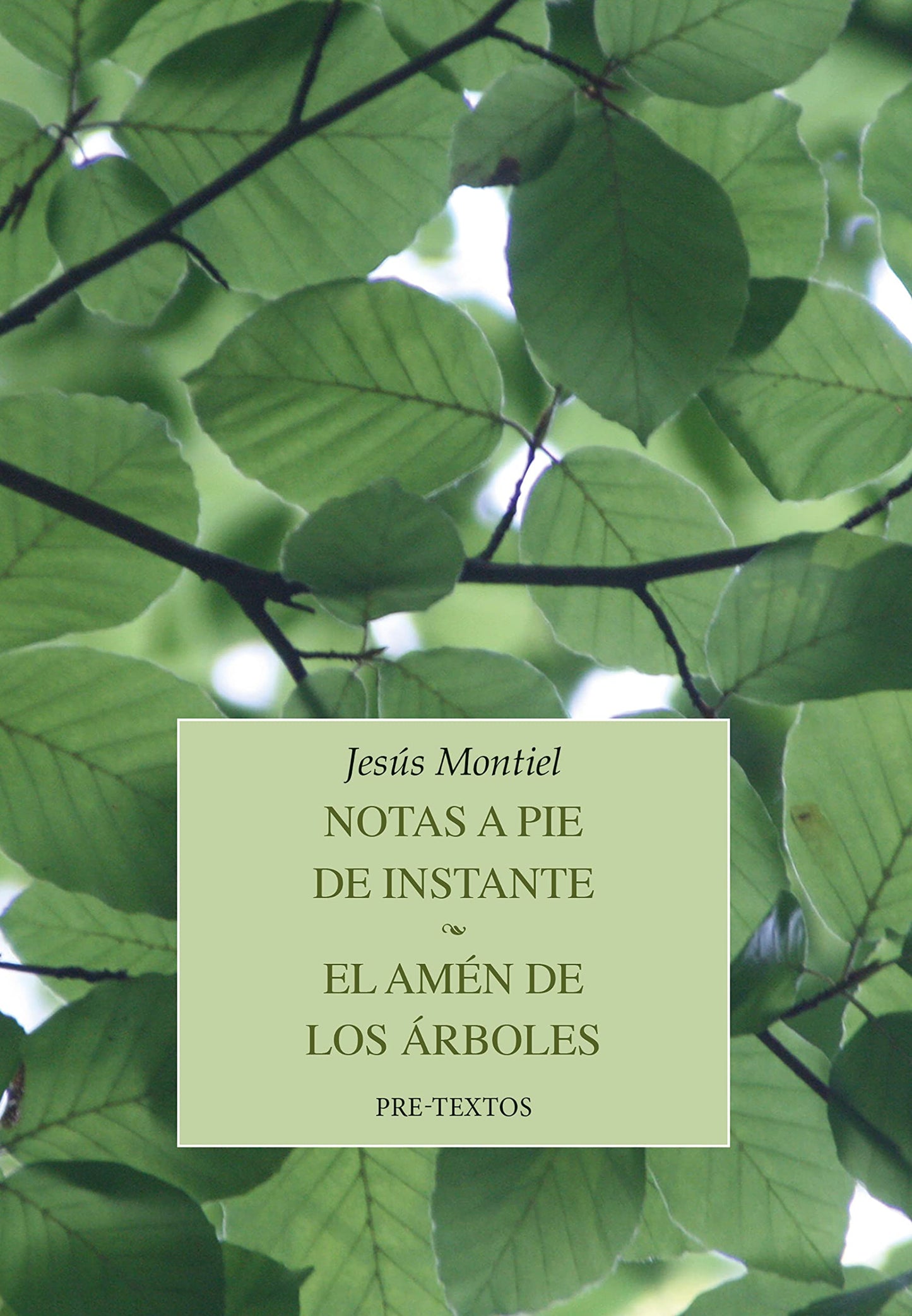Libro: Notas a pie de instante / El amén de los árboles