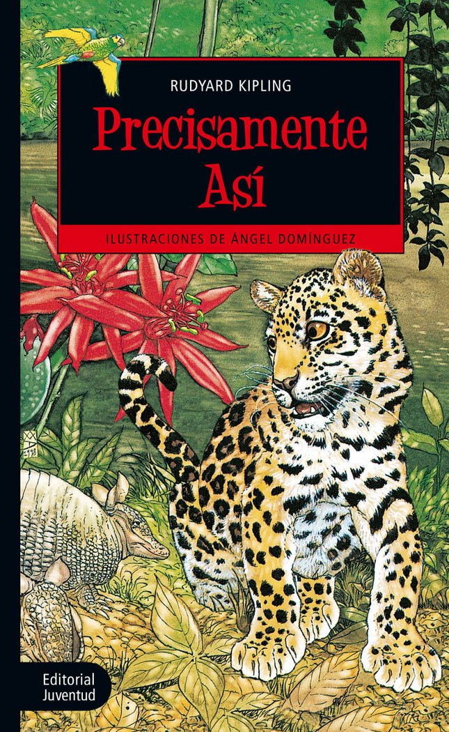 Libro: Precisamente así (Colección Juventud)