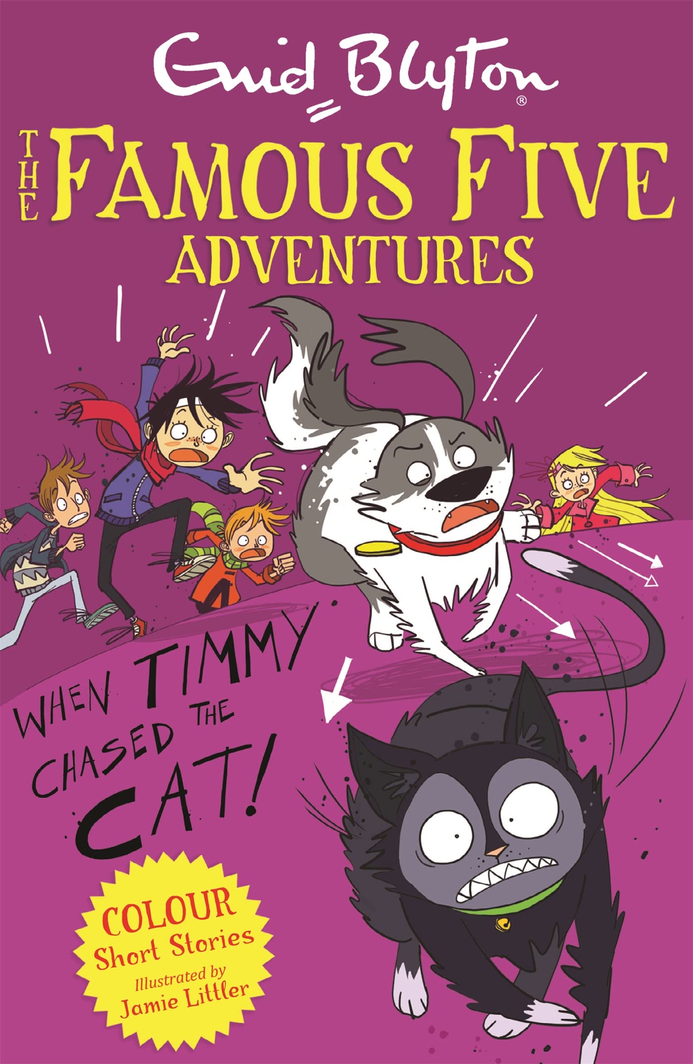 Libro: Famous Five Colour Reads When Timmy Chas