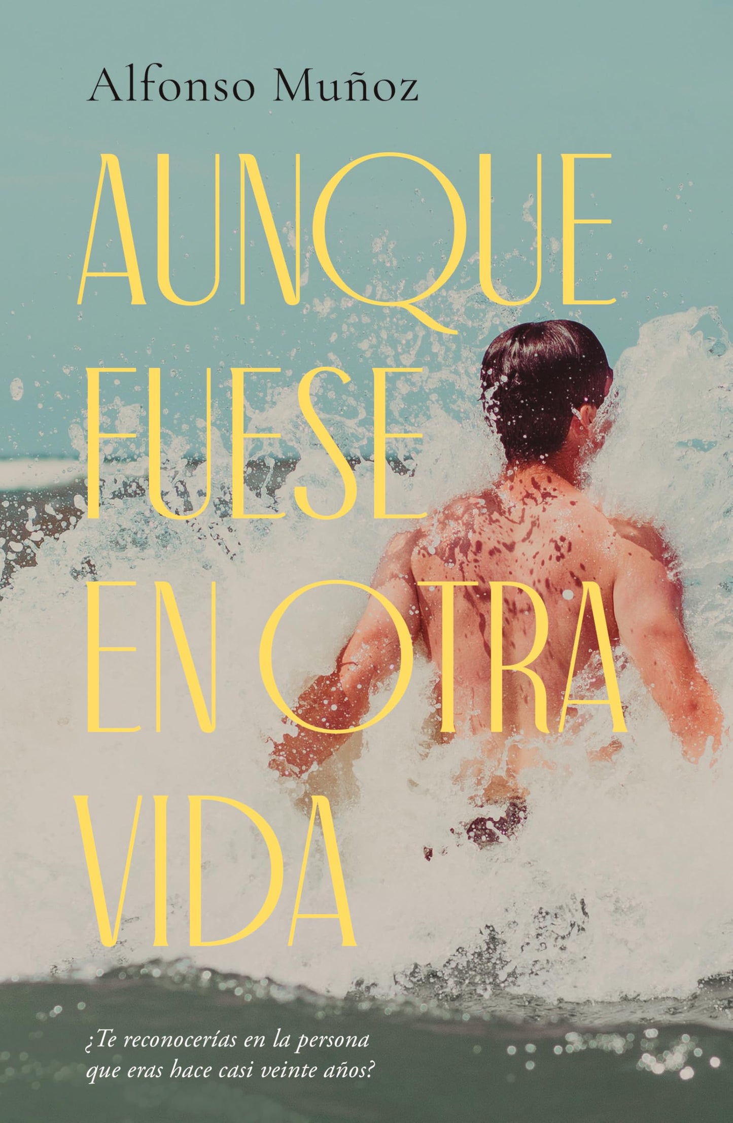 Libro: AUNQUE FUESE EN OTRA VIDA (CONTEMPORANEA)