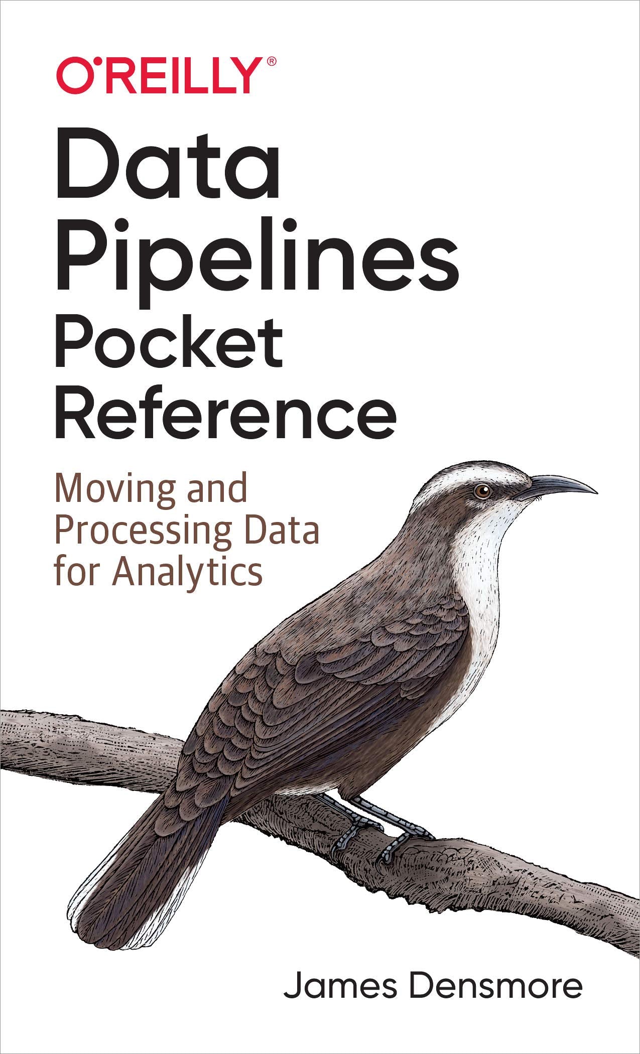 Libro: Data Pipelines Pocket Reference: Moving and Processing Data for Analytics