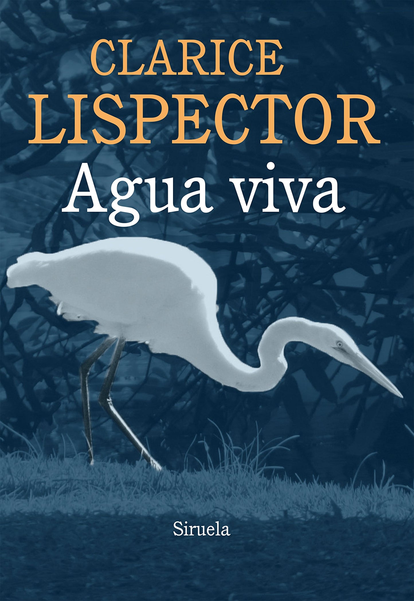 Libro: Agua viva (Spanish Edition)