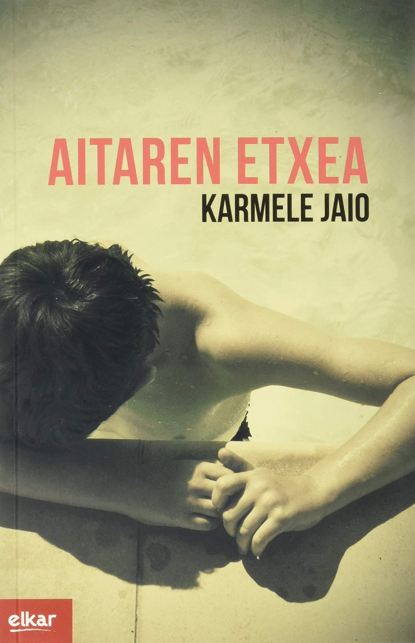 Libro: Aitaren etxea: 374 (Literatura)