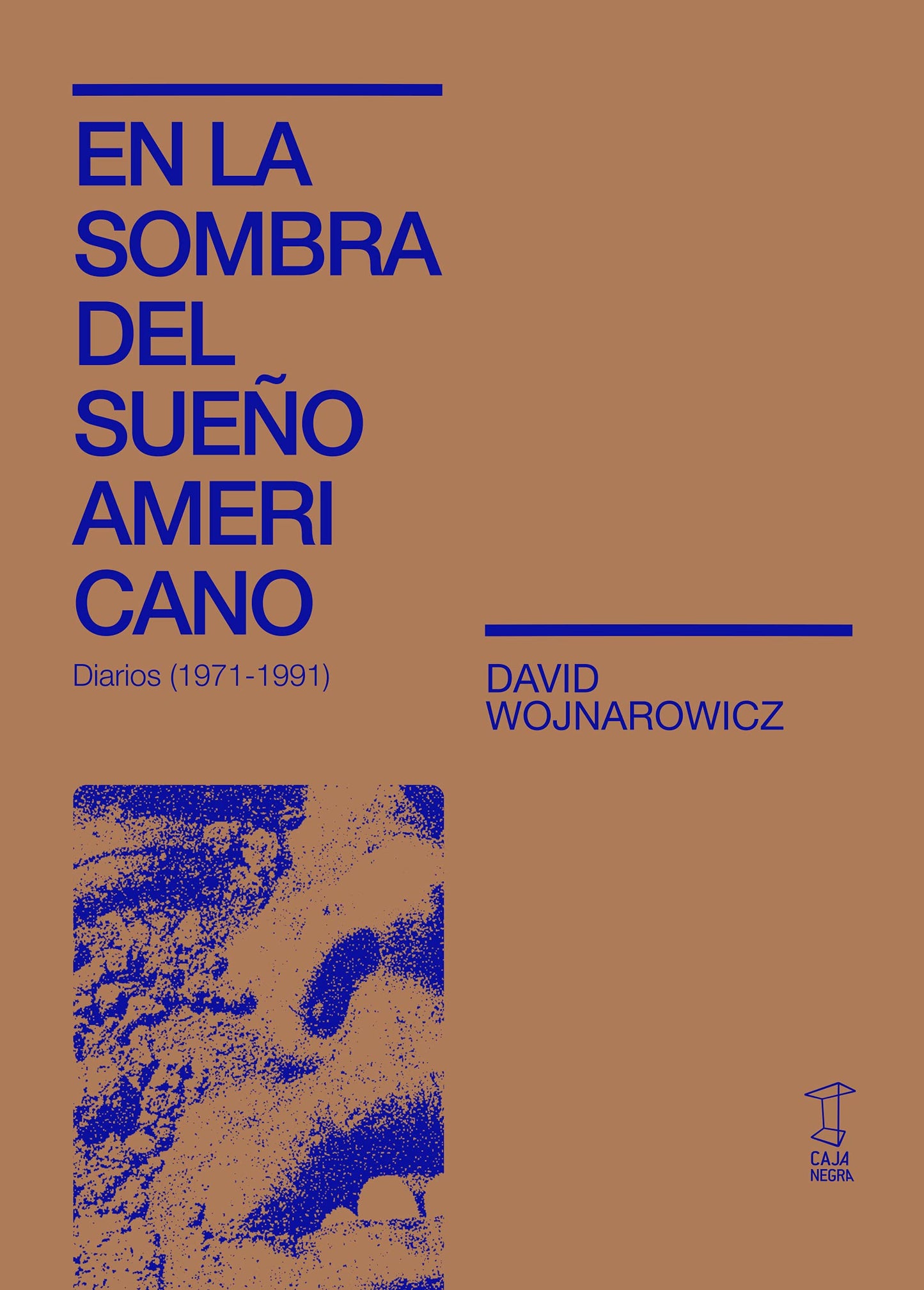 Libro: En La Sombra Del Sueño Americano (SYNESTHESIA)