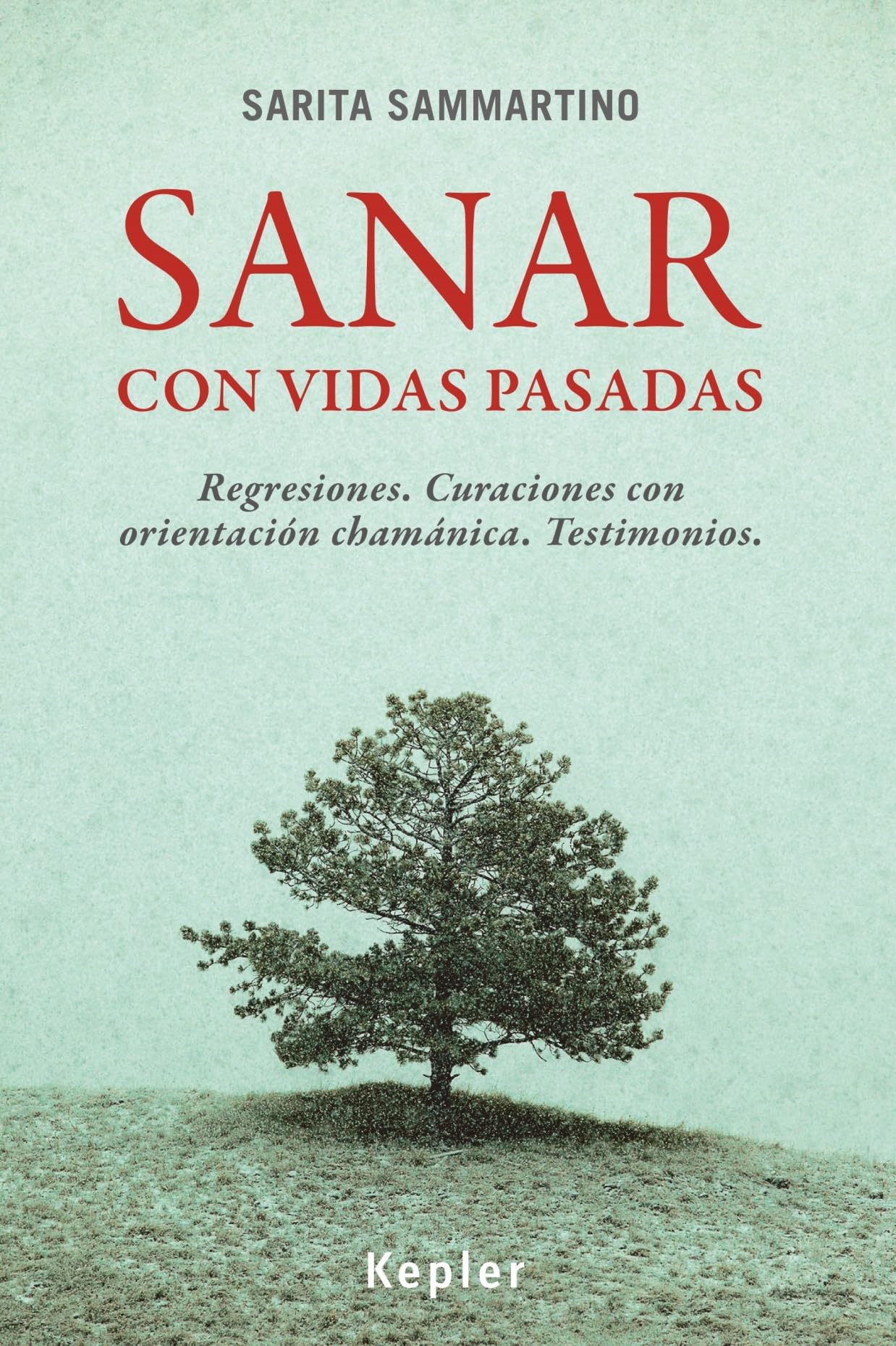 Libro: Sanar con vidas pasadas: Regresiones. Curaciones con orientación chamánica. Testimonios (Spanish Edition)