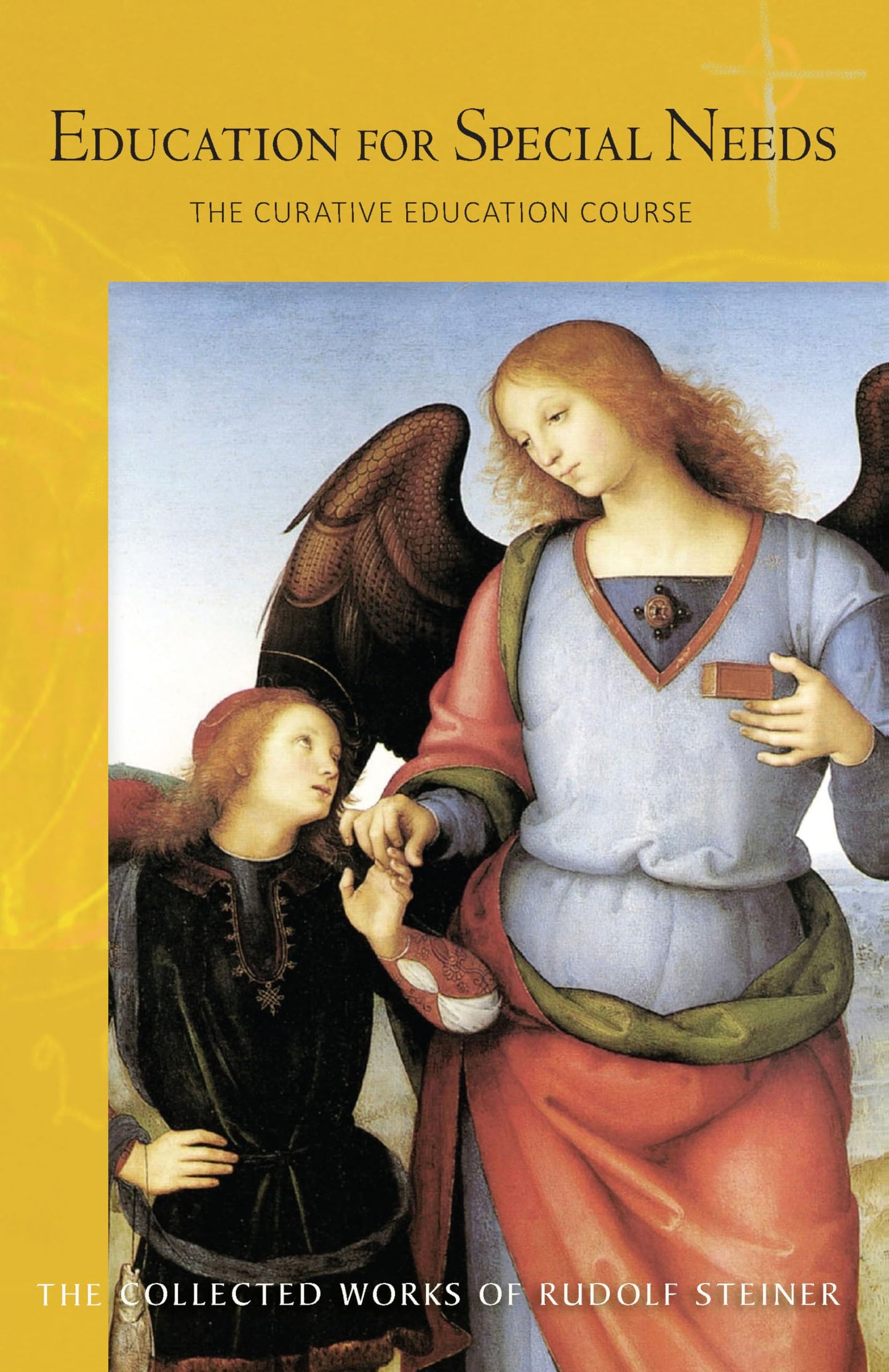 Libro: Education for Special Needs: The Curative Education Course (CW 317) (Volume 317) (The Collected Works of Rudolf Steiner)
