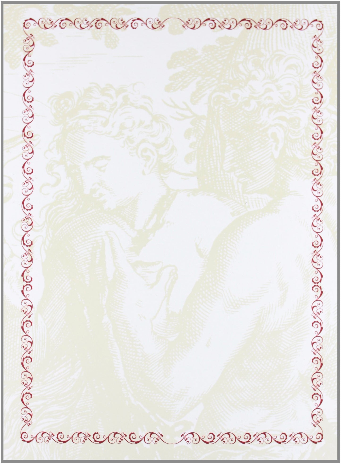 Libro: La Santa Biblia con grabados