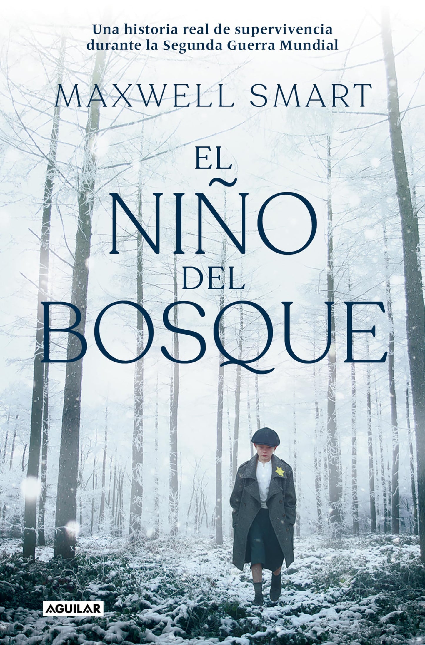 Libro: El niño del bosque / The Boy in the Woods (Spanish Edition)