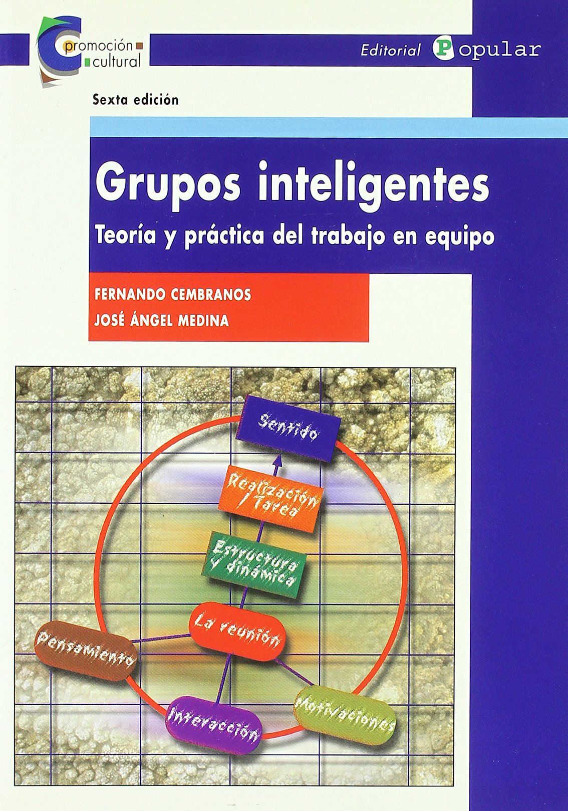 Libro: Grupos inteligentes: Teoría y práctica del trabajo en equipo