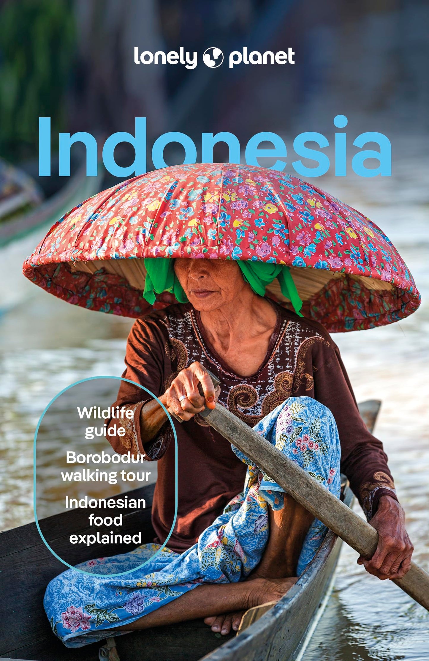 Libro: Lonely Planet Indonesia: Plan the Trip of a Lifetime | Detailed Itineraries & Maps | Insider Tips | Covers Java, Bali, Sumatra and more (Travel Guide)