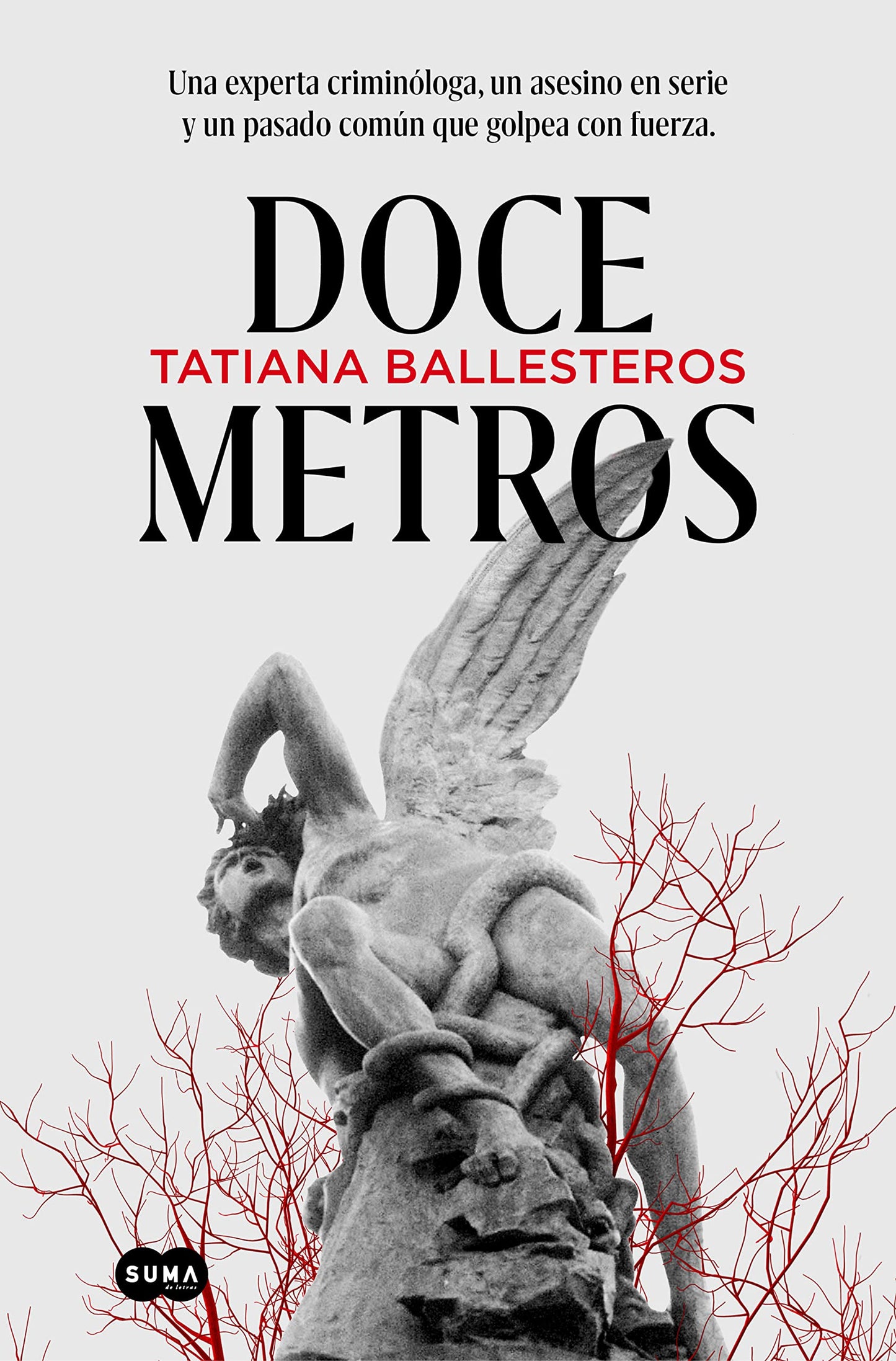 Libro: Doce metros / Twelve Meters (Spanish Edition)