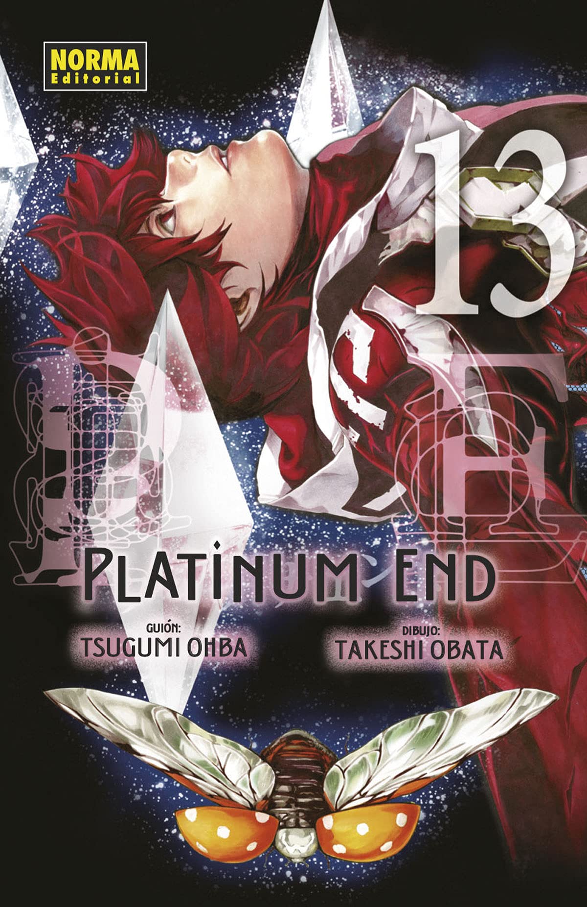 Libro: PLATINUM END 13