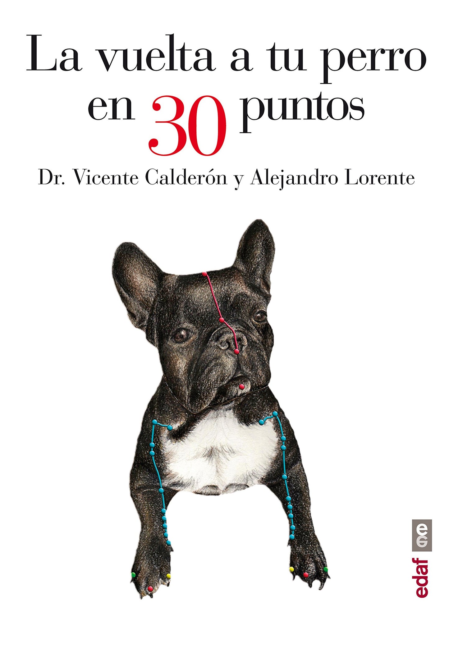 Libro: La vuelta a tu perro en 30 puntos (Spanish Edition)