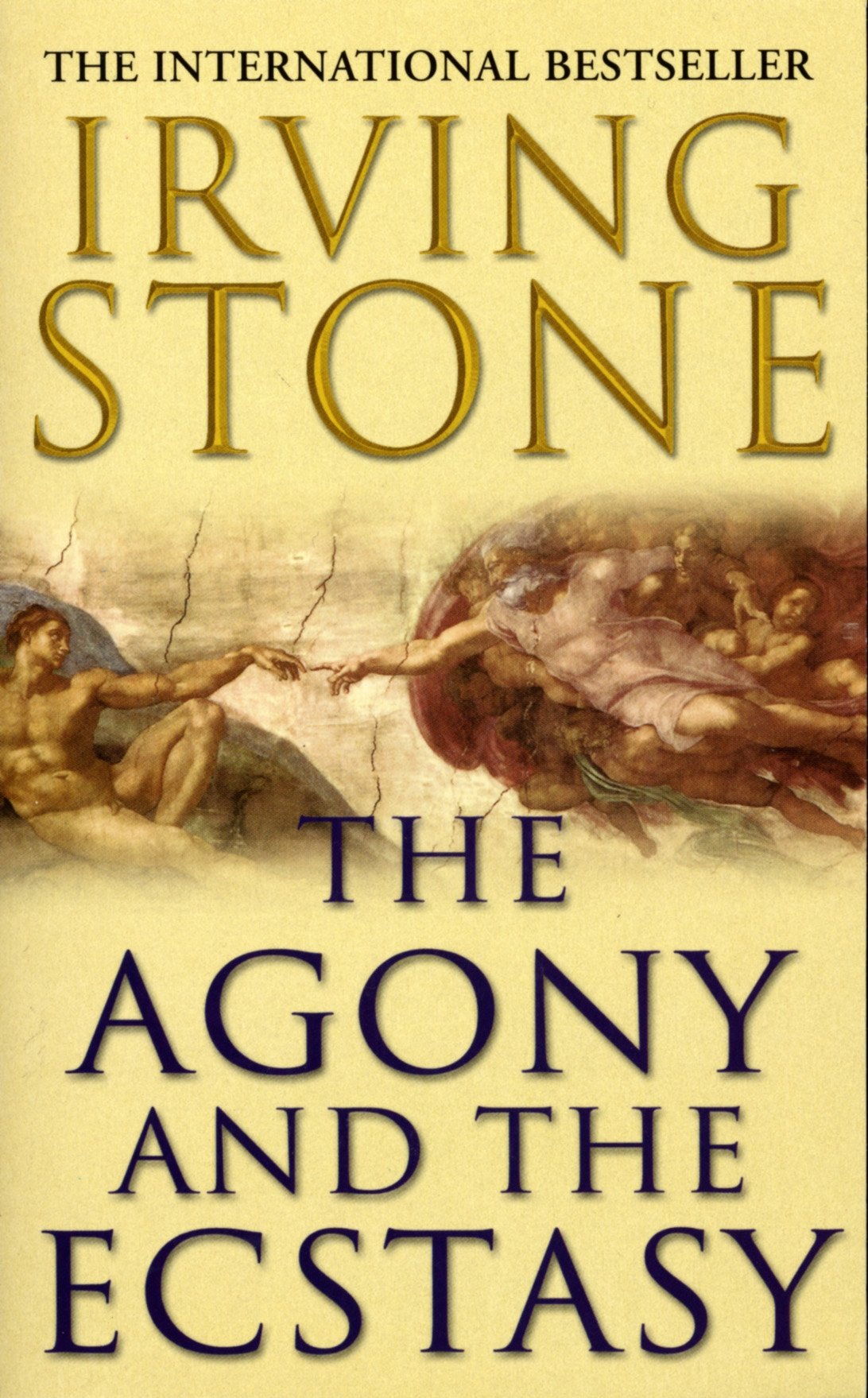 Libro: The Agony and the Ecstasy