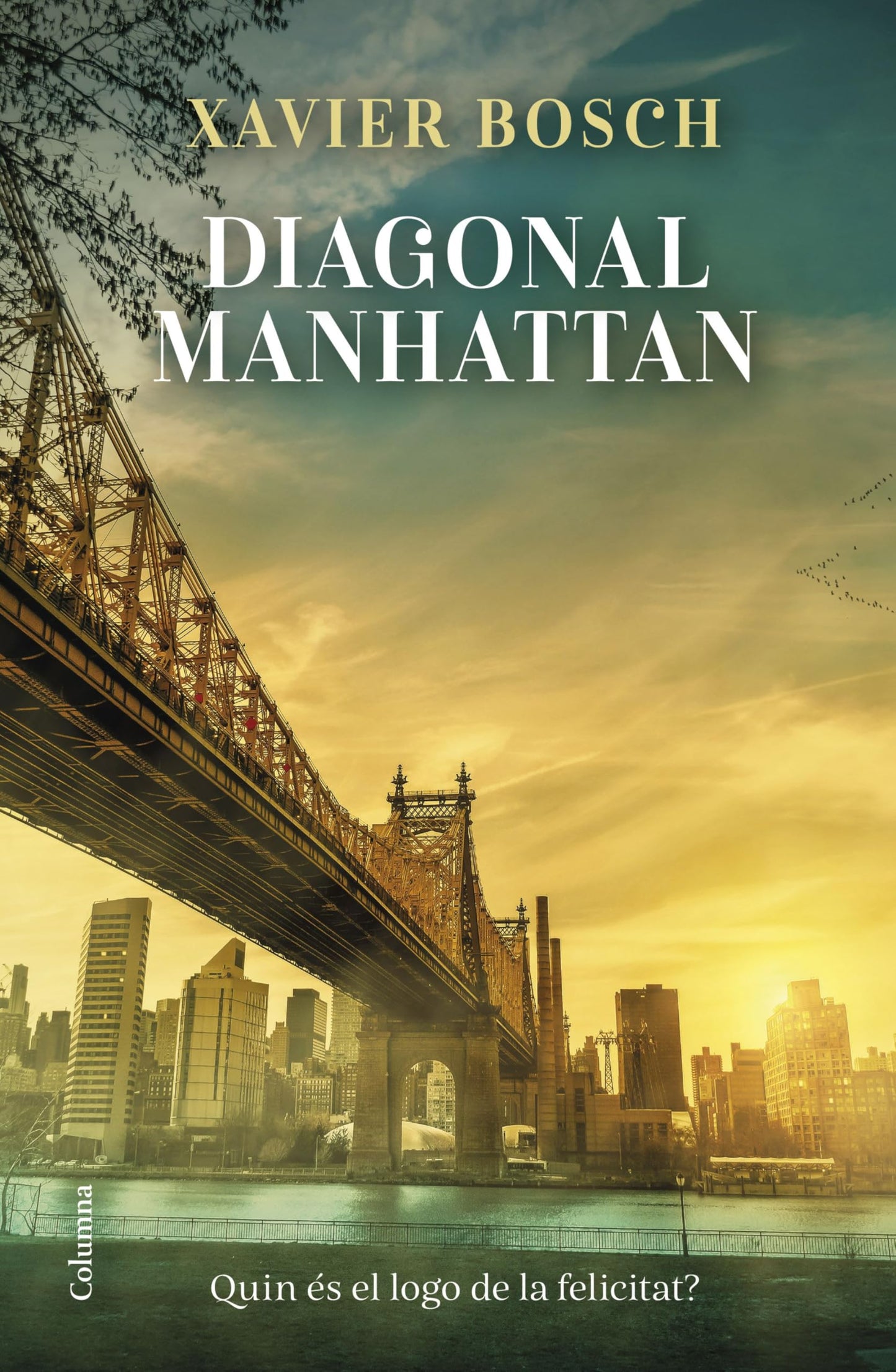 Libro: Diagonal Manhattan (Clàssica)