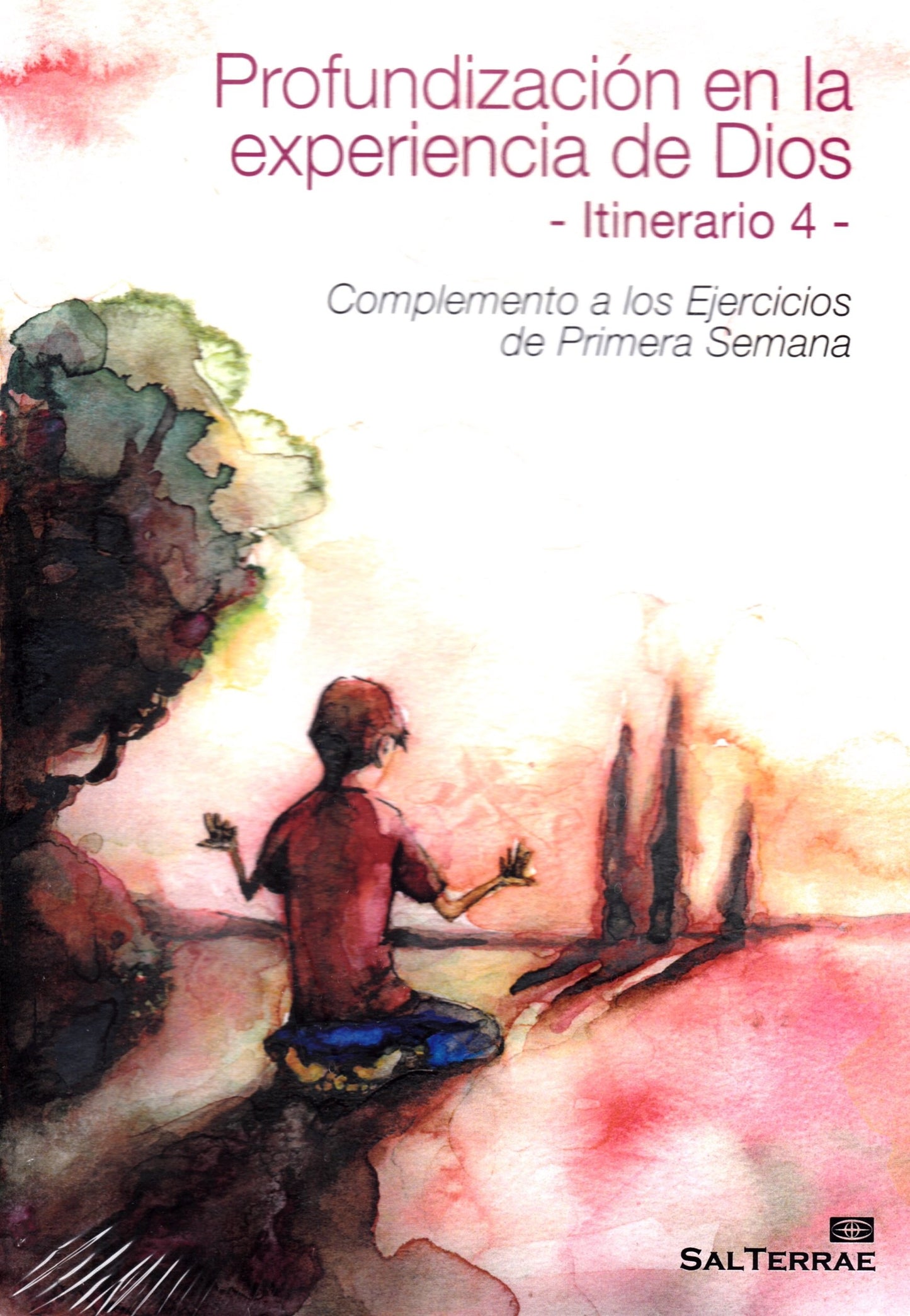 Libro: Profundizacion En La Experiencia De dios. 4 Itinerario: Complemento a los Ejercicios de Primera Semana: 95 (Pastoral)