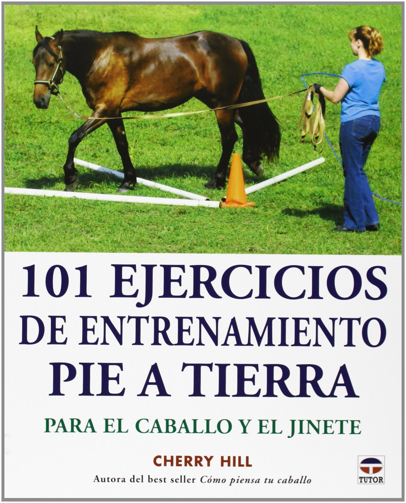 Libro: 101 Ejercicios de entrenamiento pie a tierra. Para el caballo y el jinete (DEPORTES)
