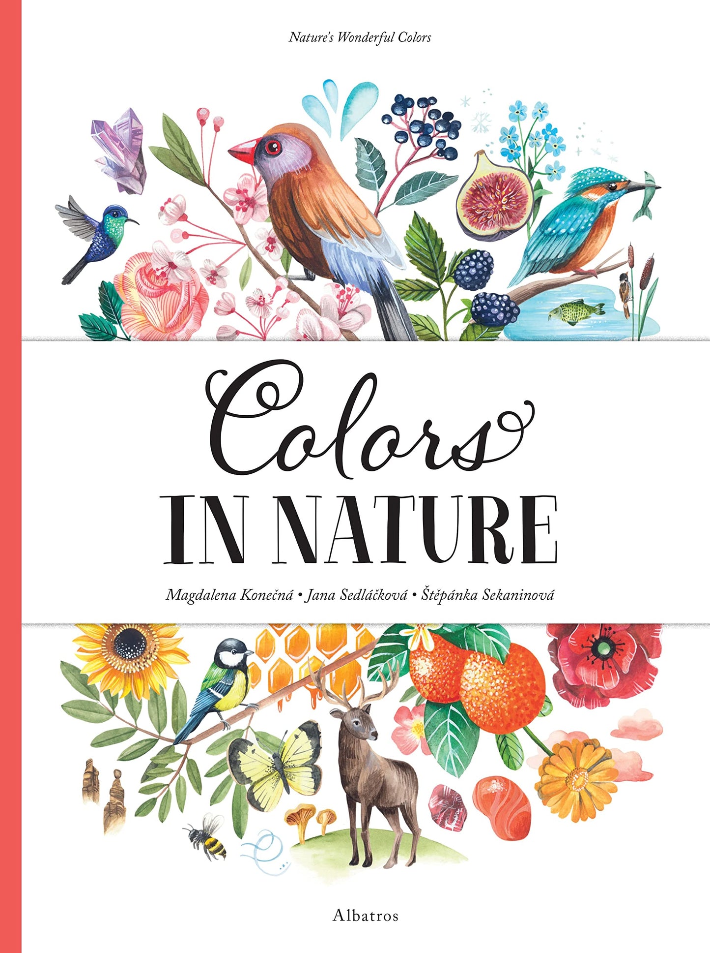 Libro: Colors in Nature (Nature's Wonderful Colors, 1)