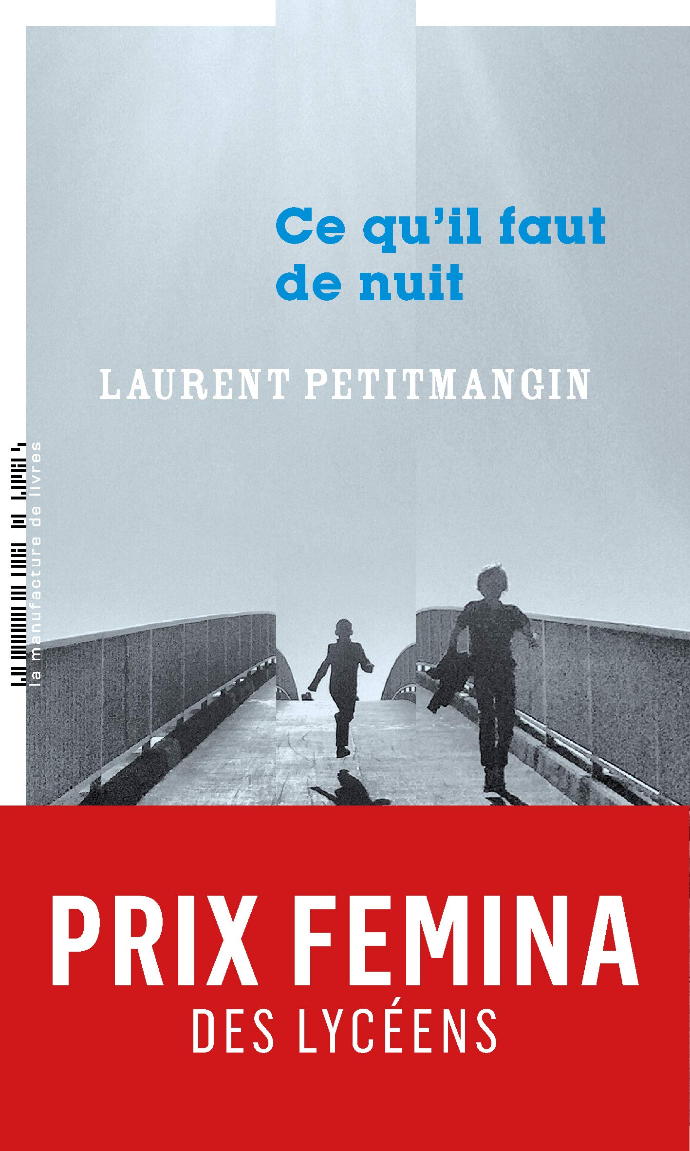 Libro: Ce qu'il faut de nuit